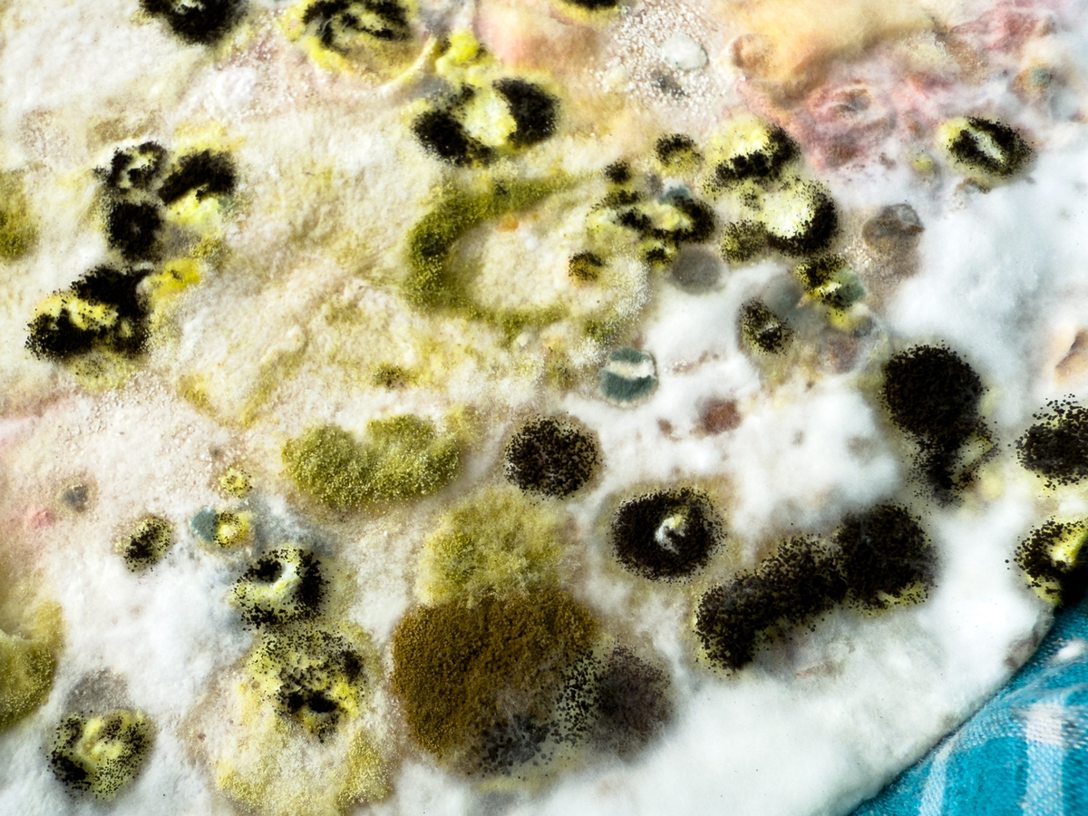 粮食发霉怎么办？教你正确处理方法！