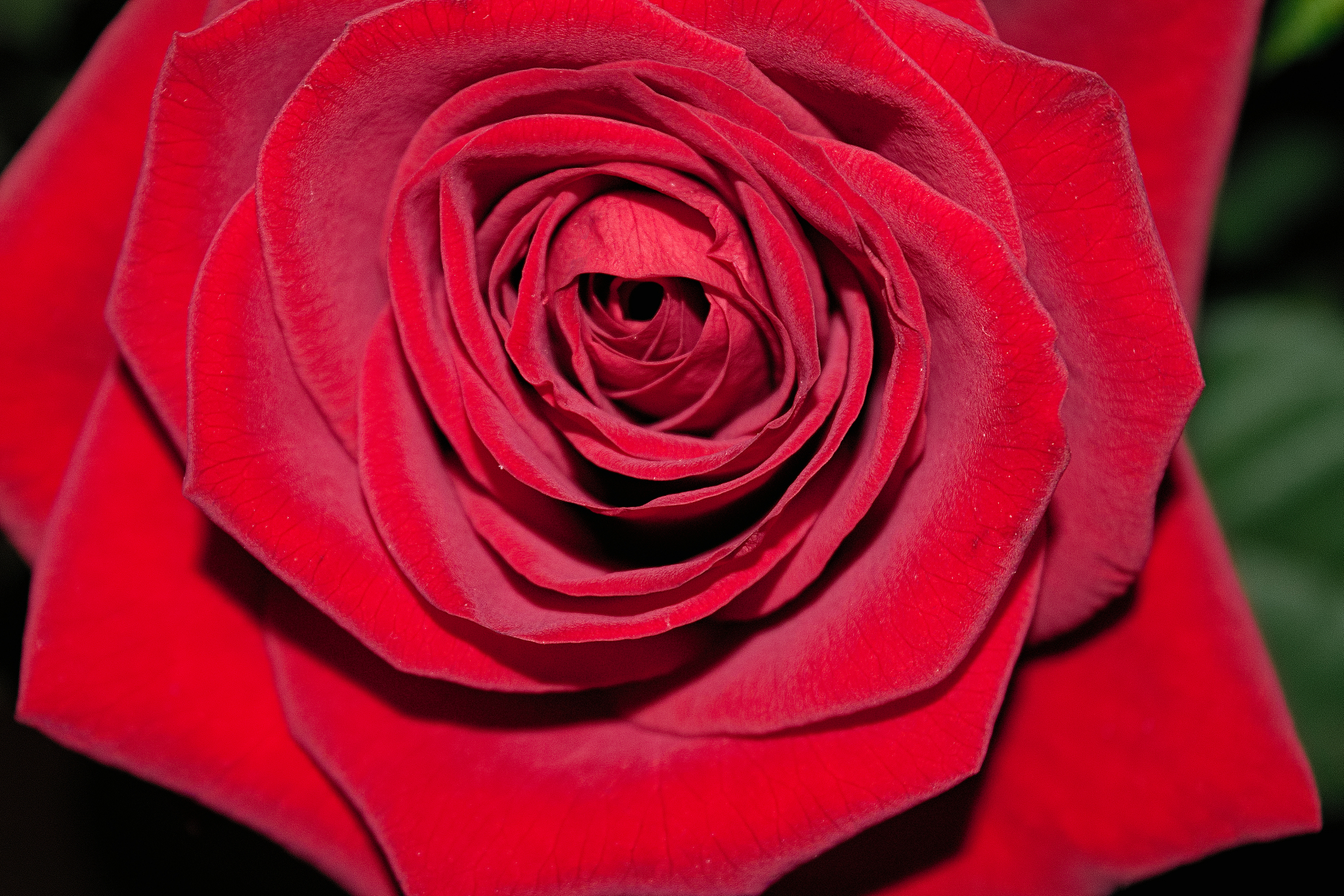 湖南师范大学俄语专业怎么样？师资、设施、前景全方位解析