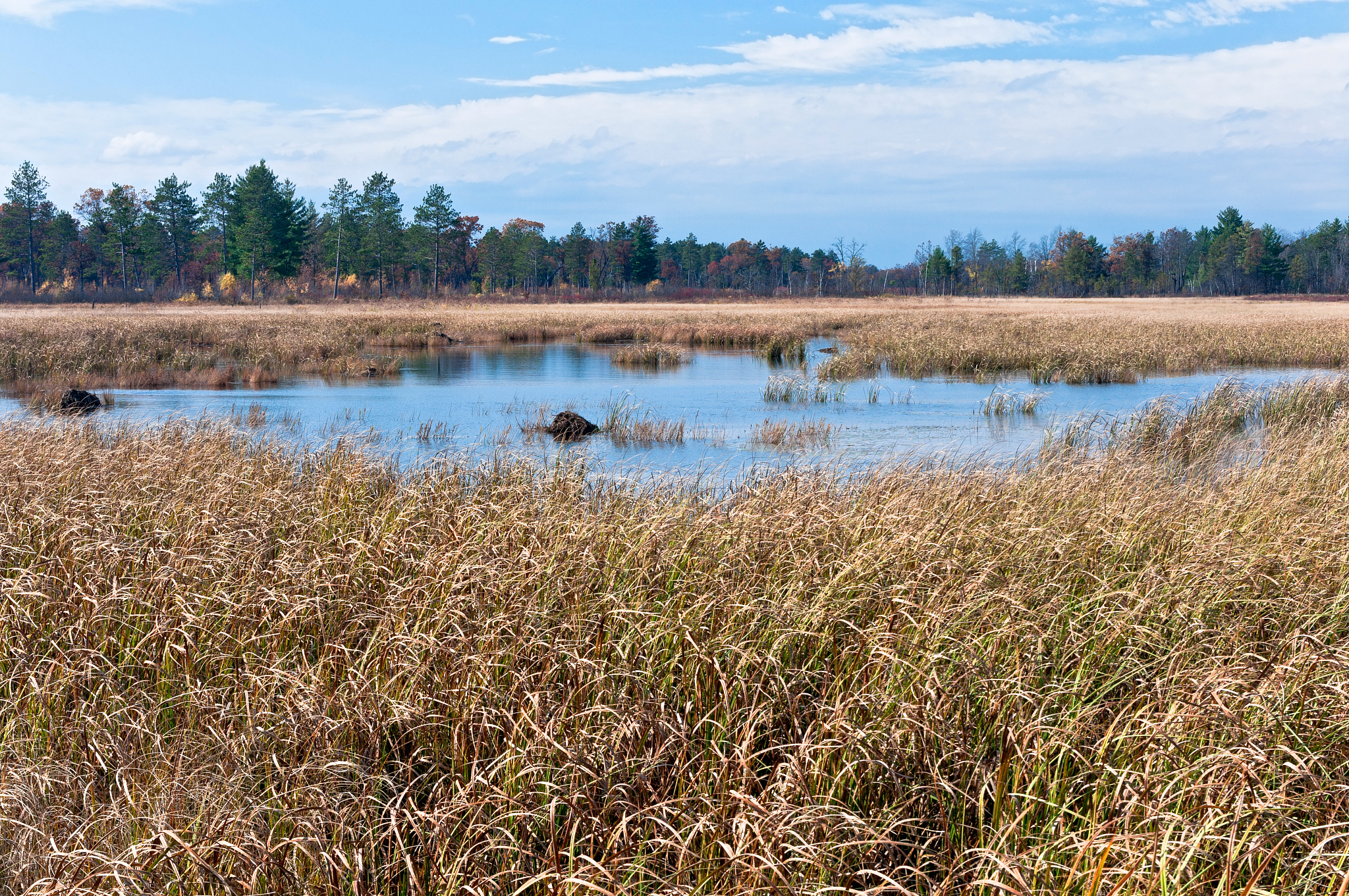 自然资源局帮我用210字详细描述