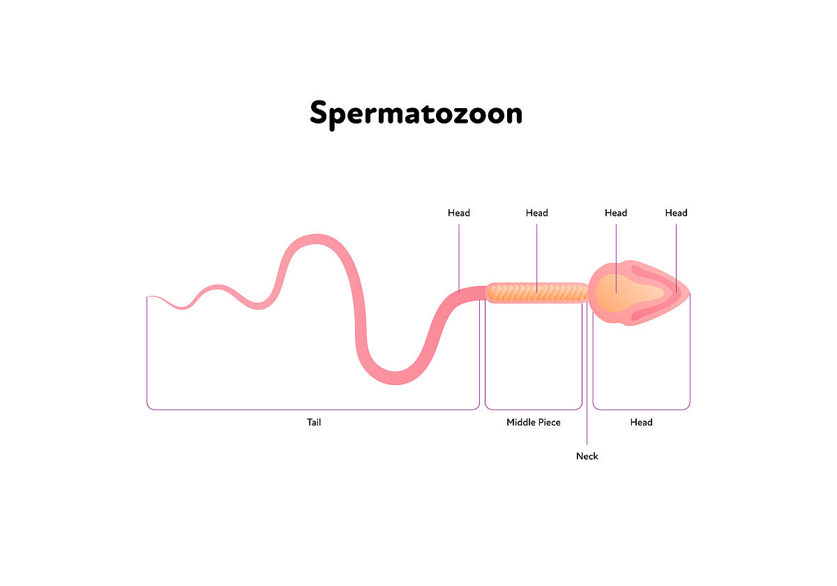 贵阳财经学校2021年招生简章：经济、管理、金融等专业等你来报考