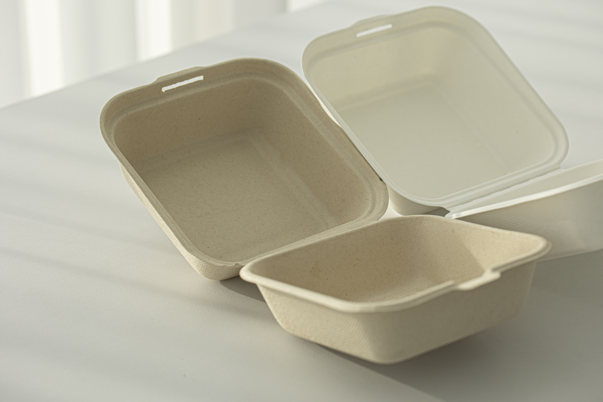 耐高温抗冲击抗菌环保PP餐盒工程研发中心：必要性与可行性分析