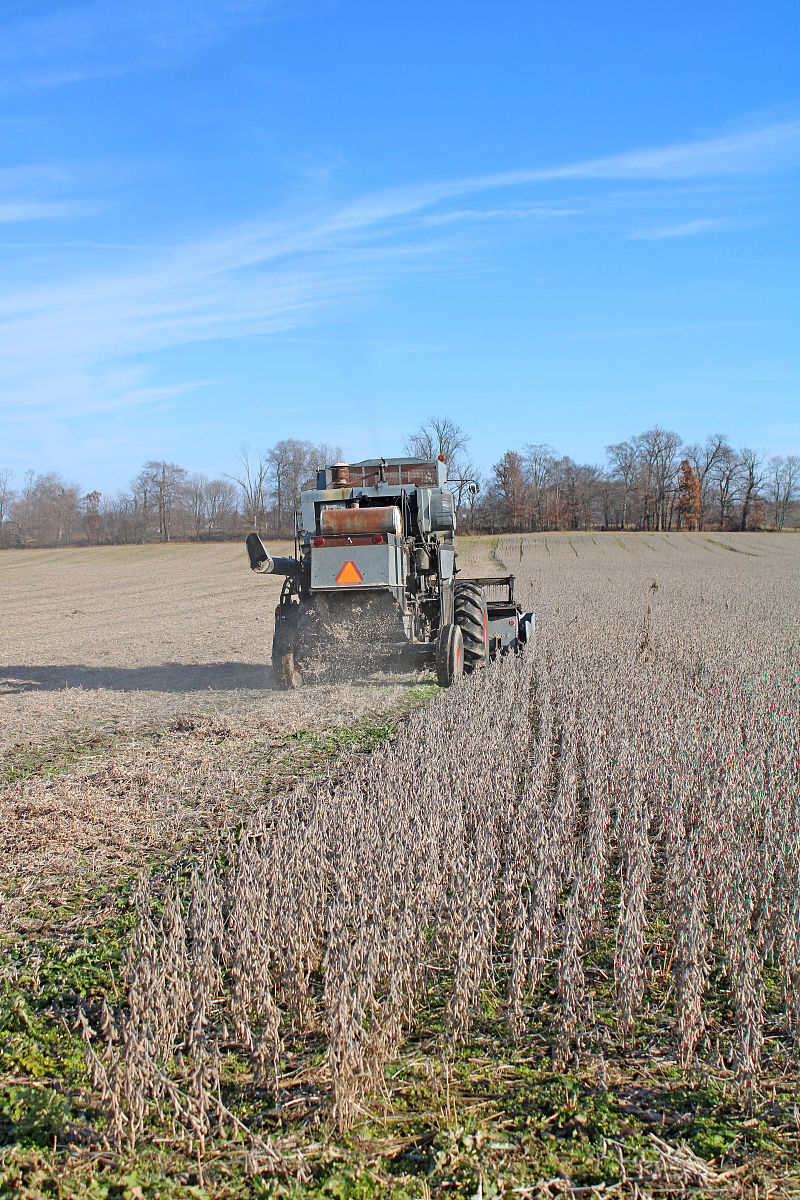 请写一段农业专业学位点建设年度小结包括人才培养过程质量建设、生源质量保障、学位论文质量建设、学生就业质量保障机制、师资队伍资源建设等方面的情况、工作亮点、存在的问题与不足、针对问题提出改进建议和下一步思路举措不超过 1500字。