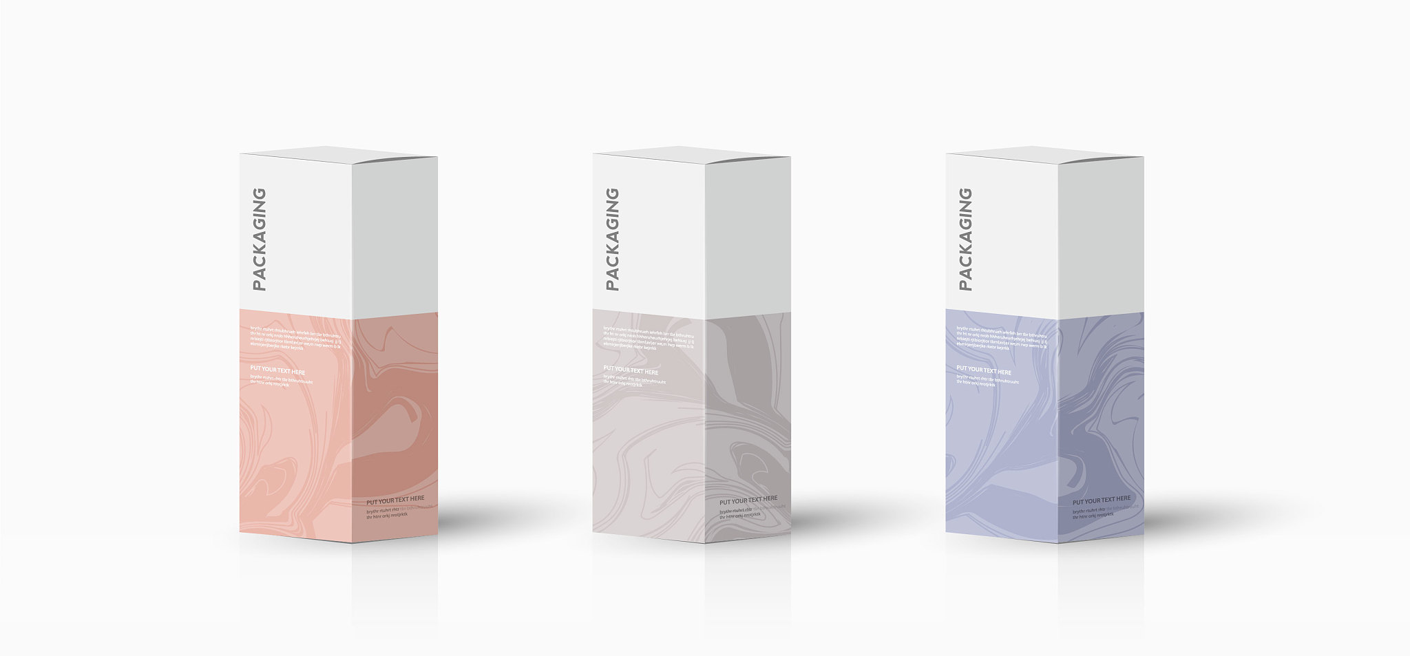 box, packaging template for product vector design illustration.