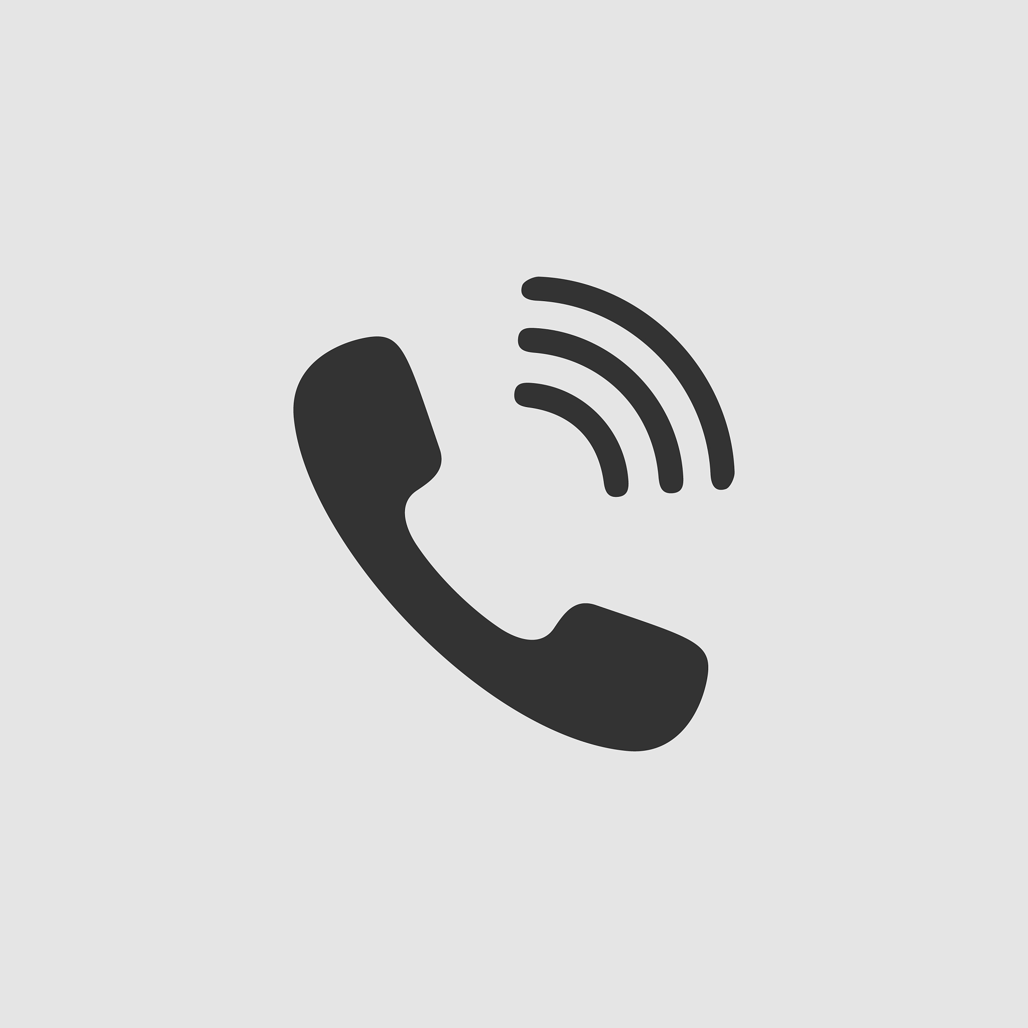 phone icon flat