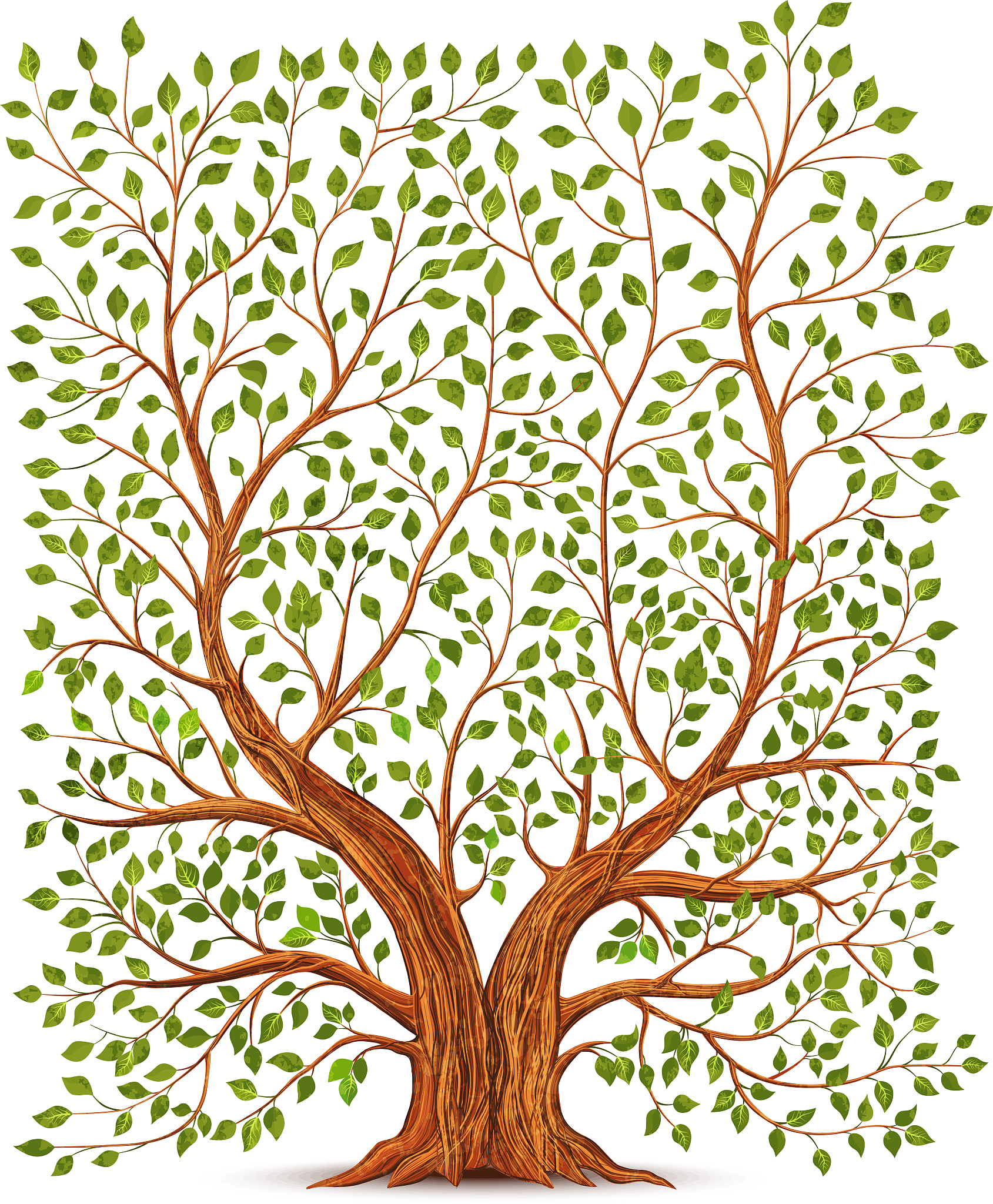 old vintage tree illustration
