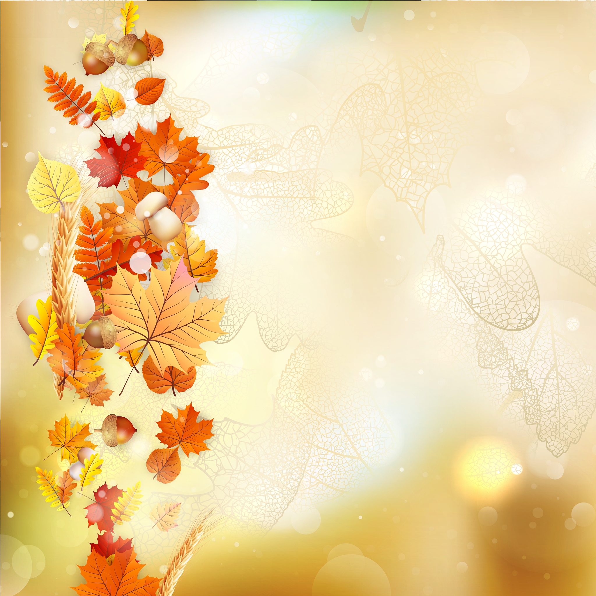 autumn concept background eps 10