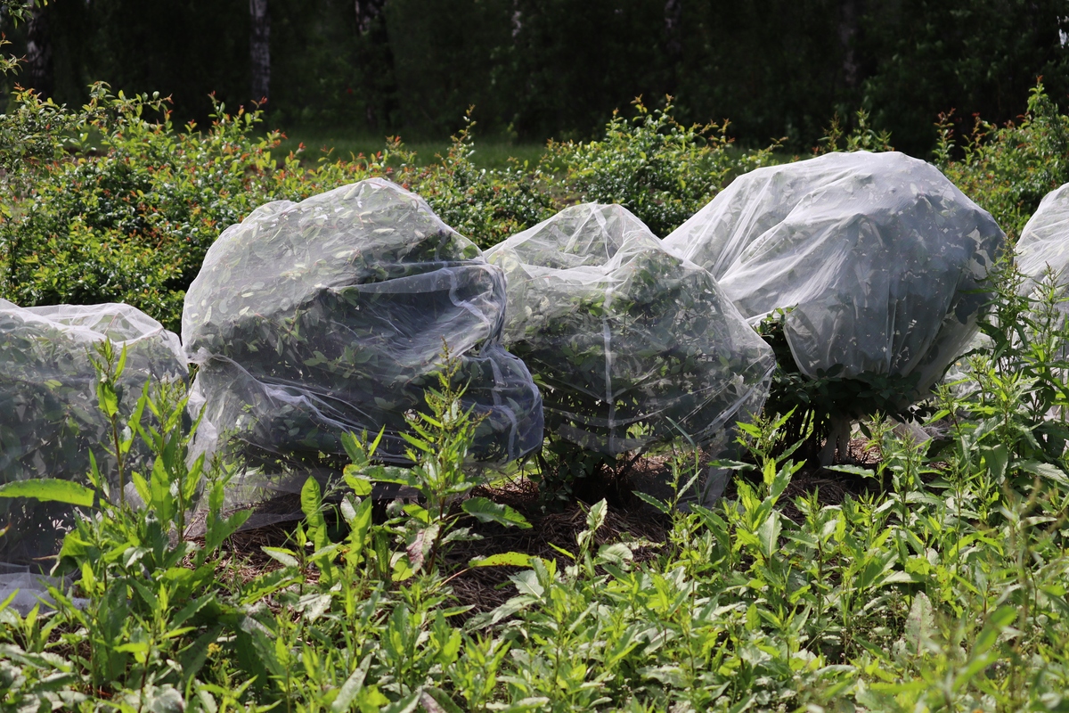 2023年报读植物保护与检疫技术专业怎么样