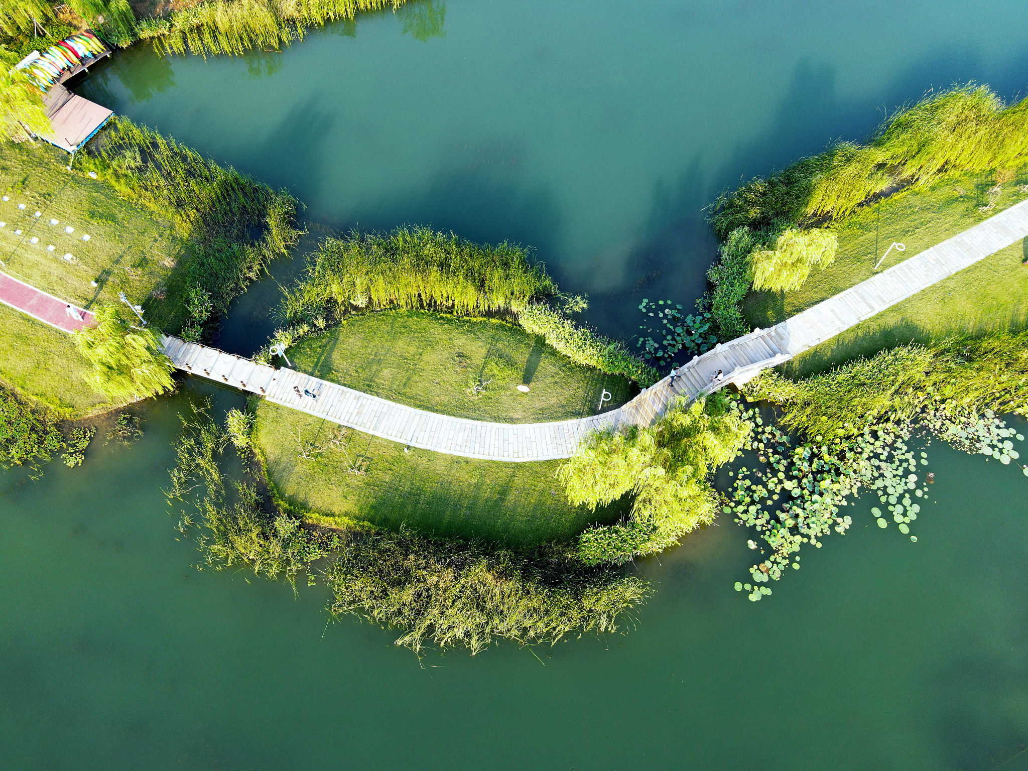 1 空气质量改善：重庆市政府采取了一系列措施如限制汽车排放、关闭高污染企业、推广清洁能源等使得重庆的空气质量得到了明显的改善。2 水环境治理：重庆市政府加大了对重庆主要河流的治理力度对污水排放进行了严格的监管对河道进行了整治和清淤使得河水质量得到了明显的提升。3 生态环境保护：重庆市政府大力推进森林城市建设加快了城市绿化、景观提升和生态保护的步伐努力营造出一个更加宜居宜游的城市环境。4 垃圾分类：