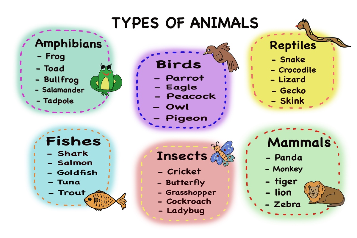 Preposition and Adverb Practice: Test Your Grammar Skills