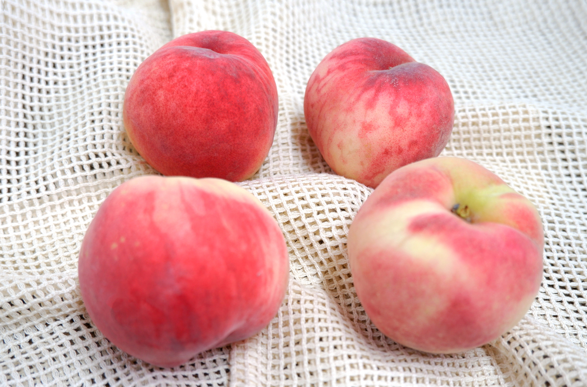 宁波龙观甬铭水蜜桃农场：山地生态，安全优质，可追溯