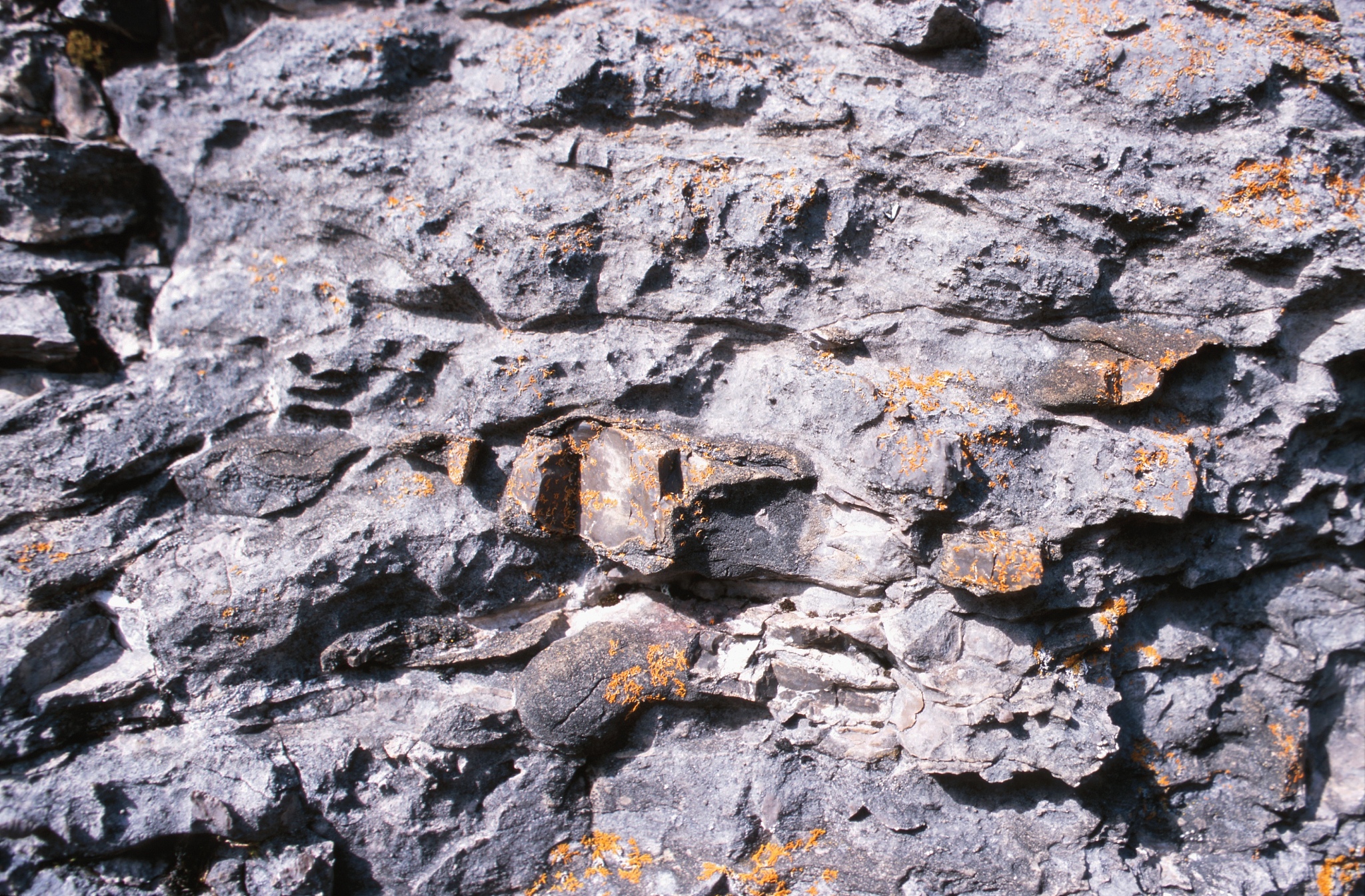 岩关组和大塘组岩性特征：奥陶纪晚期地层