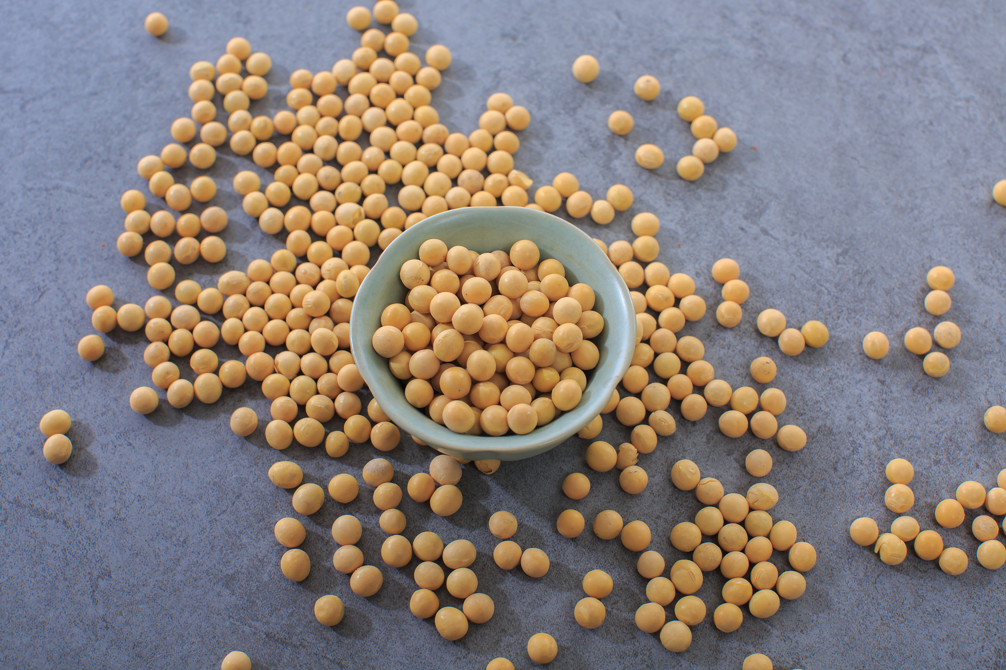 高亚油酸野生大豆筛选研究：背景、意义与应用