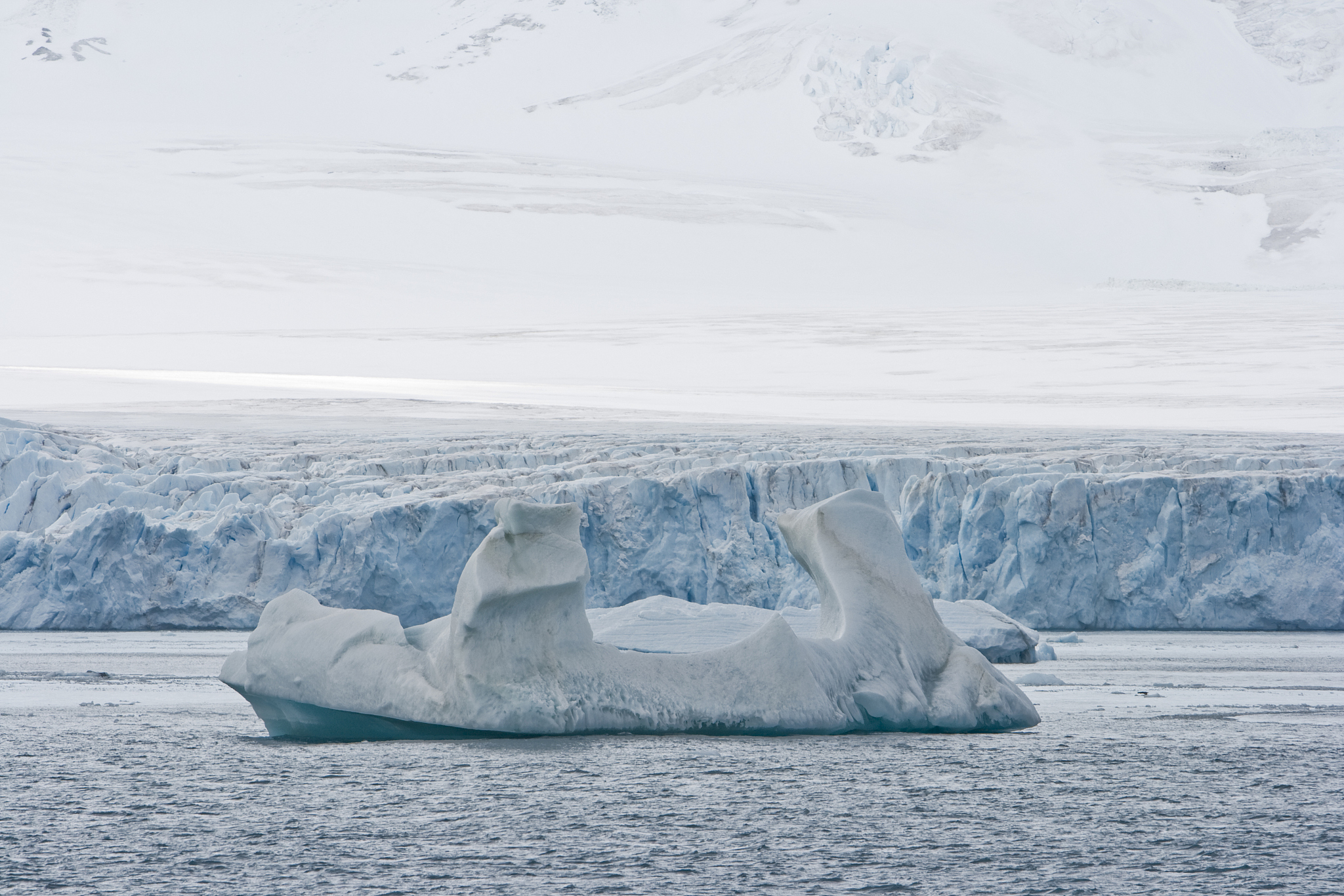 iceberg drifting in the antarctic ocean in front of huge antarct