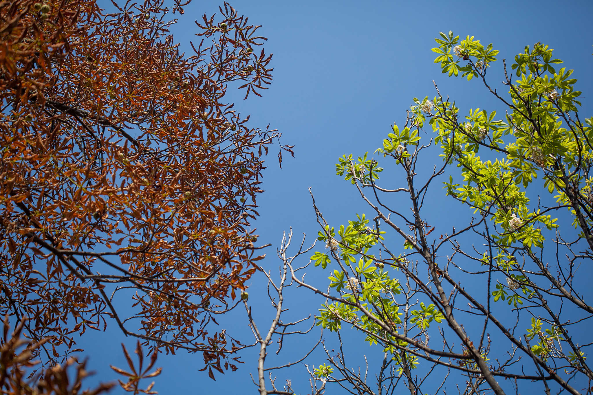 把下面的文字翻译为英文：孔子是春秋末期的思想家、政治家、教育家。他是儒家的创始人为儒学构建了一个基本的框架。他的核心思想是仁其表现形式是礼。他的思想对中国传统文化和信仰影响极其深远。他的至理名言至今仍闪烁着智慧的光芒比如温故而知新可以为师矣。所以他被认为是中国历史上最伟大的圣贤。《论语》是研究孔子的主要材料。