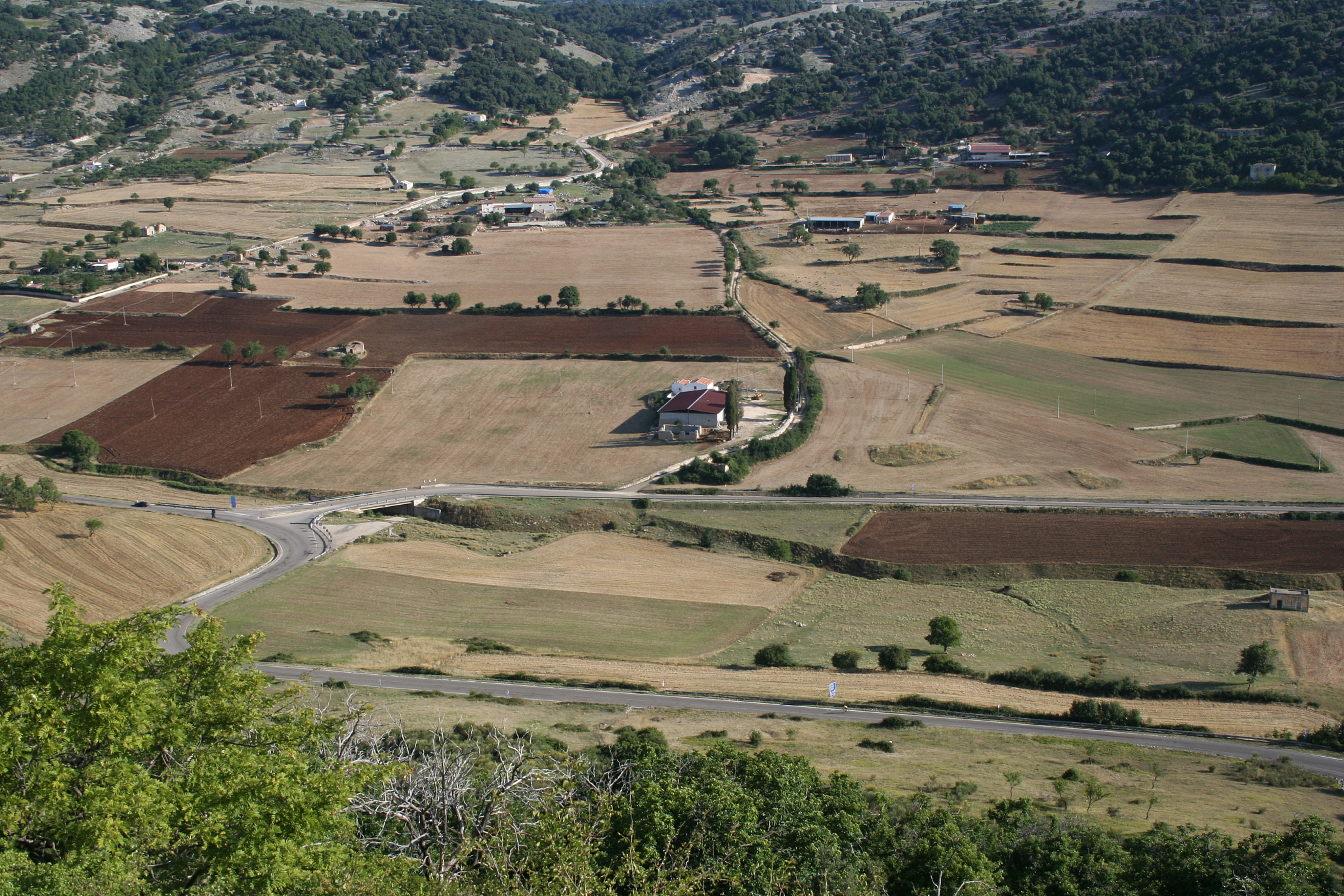 field in valley