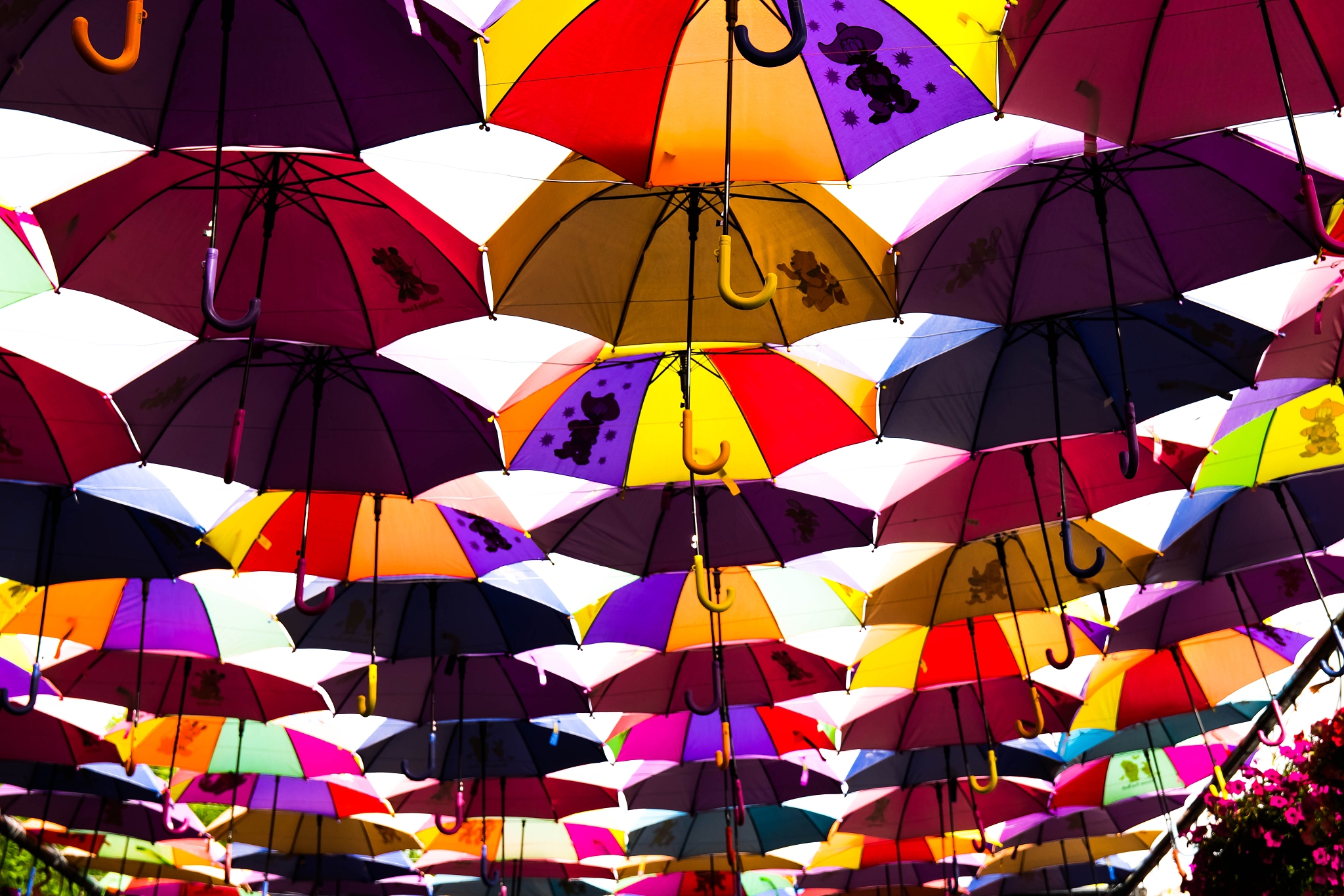 umbrellas