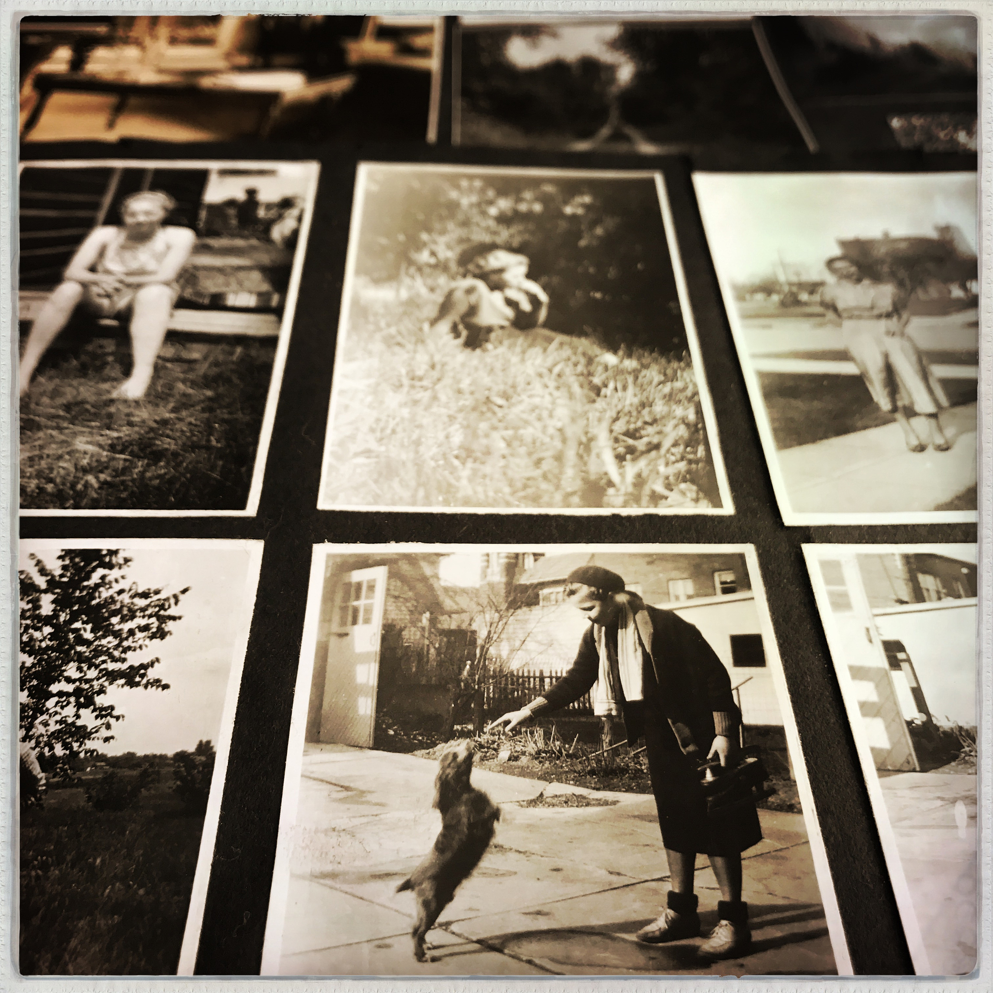 old photographs in an album