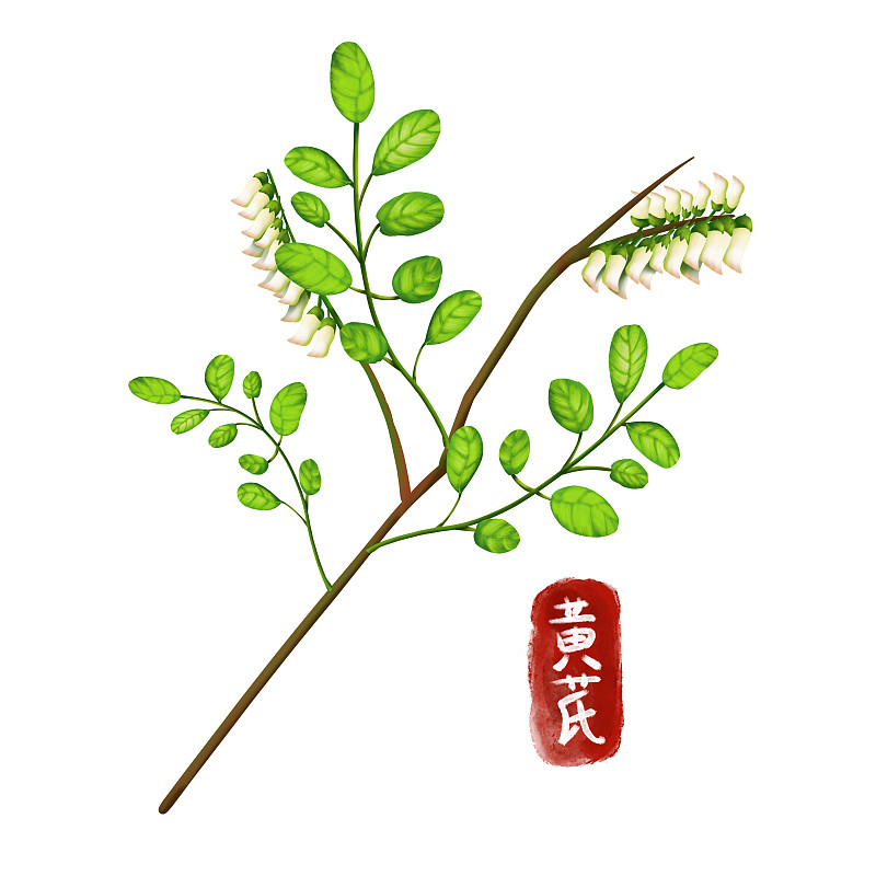 请对硕士论文《子洲县富发农业科技有限公司黄芪产品市场营销策略优化研究》的国内研究现状进行写作保证其内容合理性不要乱写：