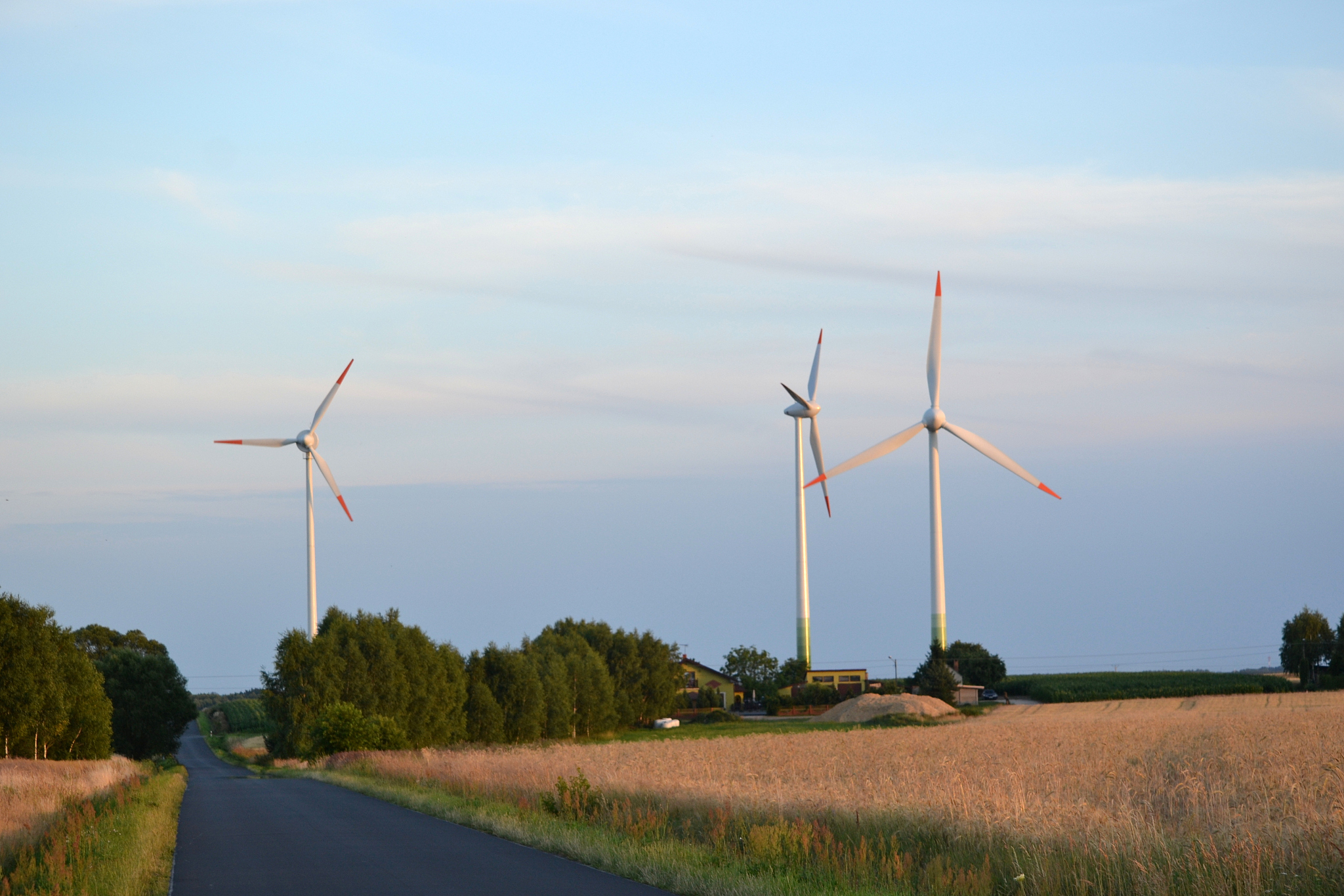 高中信息技术'循环结构'教学改进：问题解决与程序实现