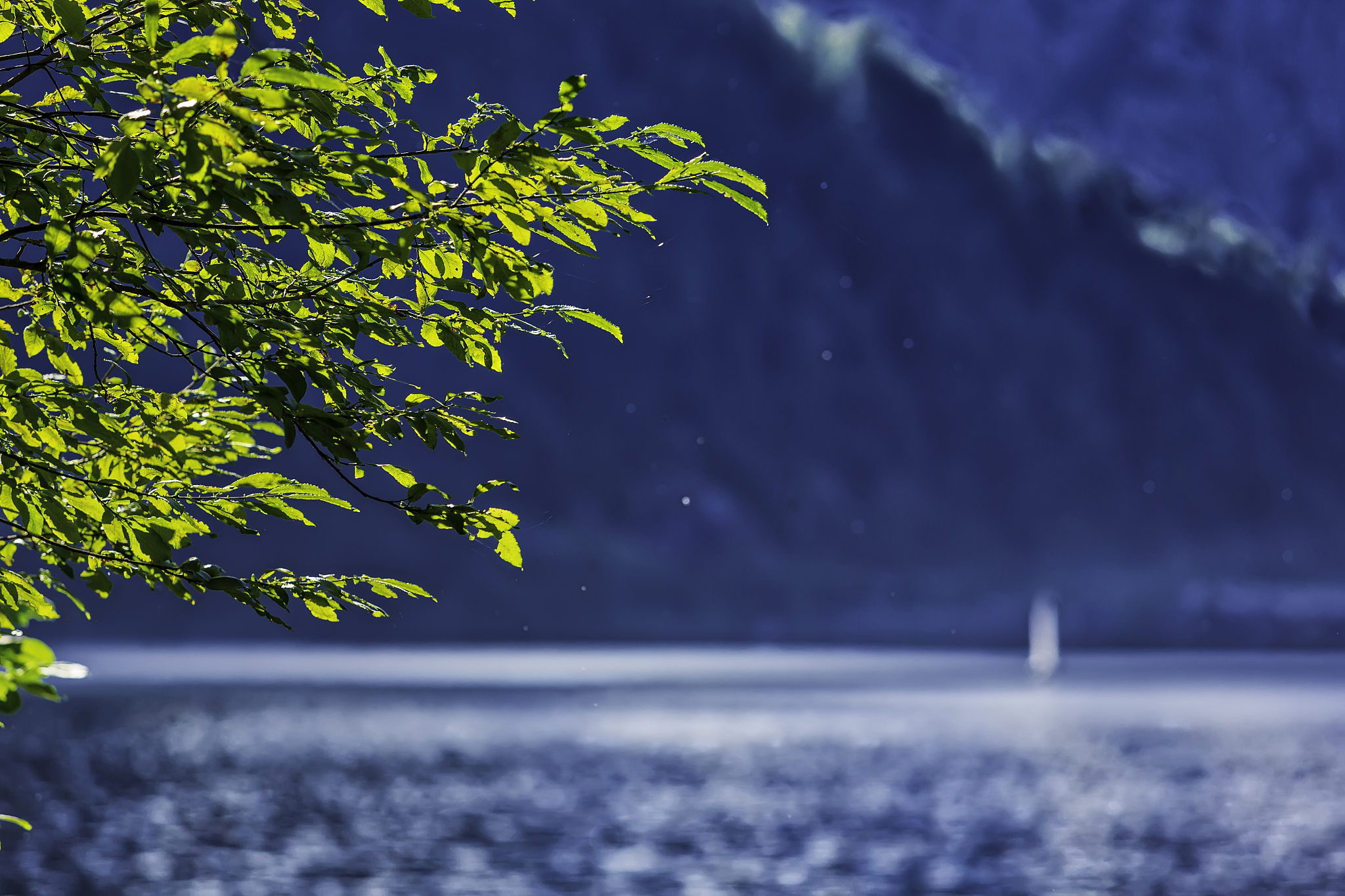 如何查找用户桌面文件位置