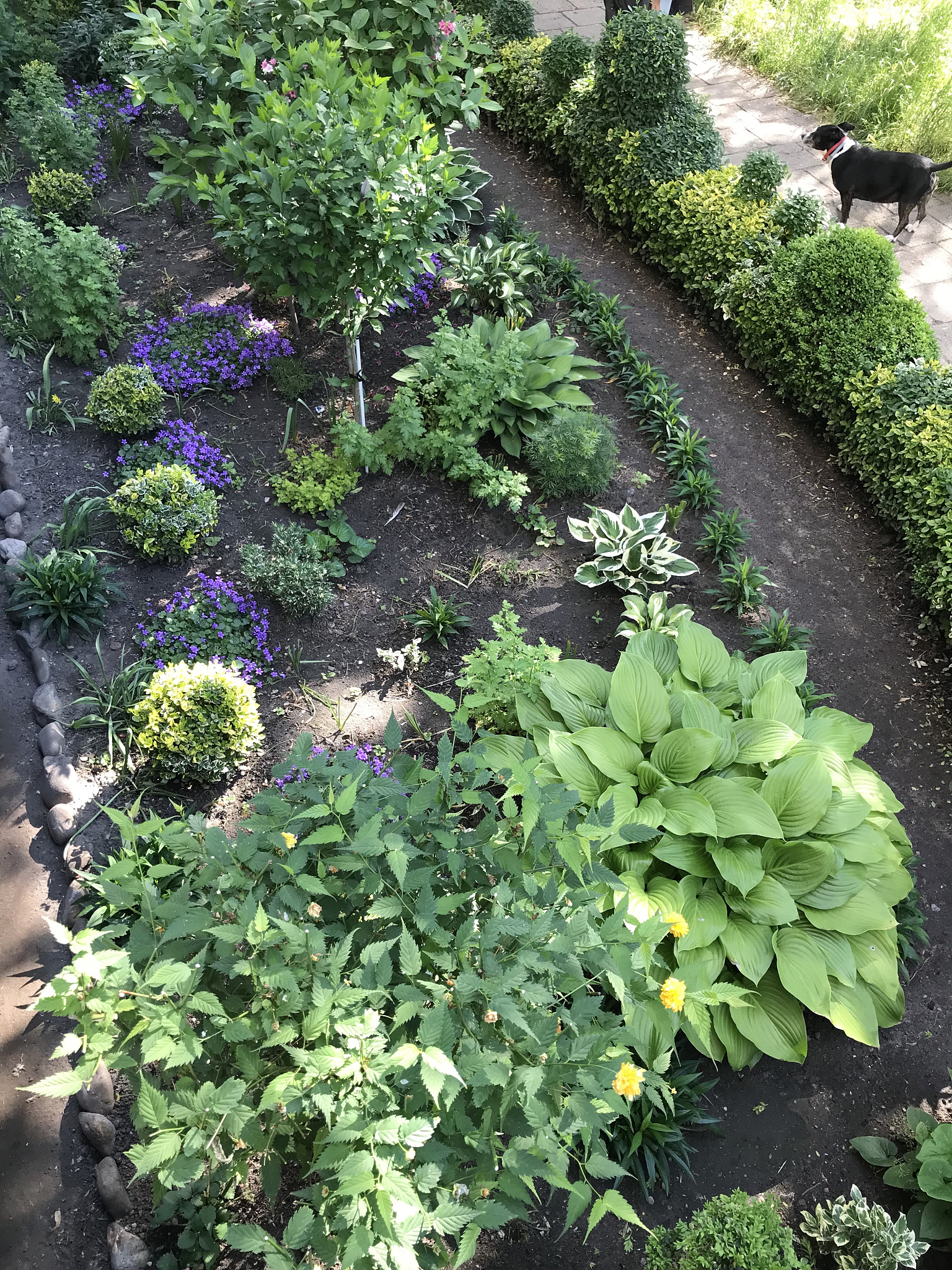 重庆市农业学校专业设置：植物保护、农艺、动物医学等