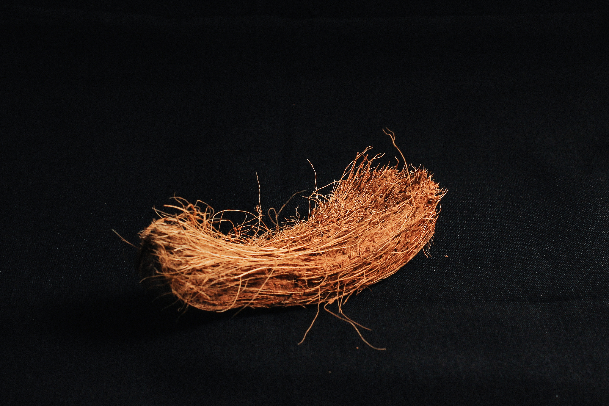 椰子壳有黄色吗？解密椰子壳的真相！