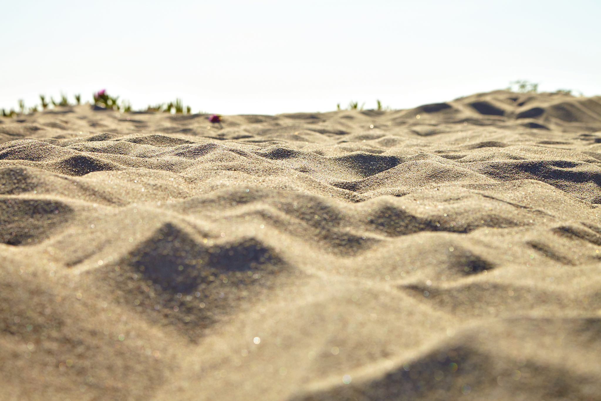 small sand dunes on beach.