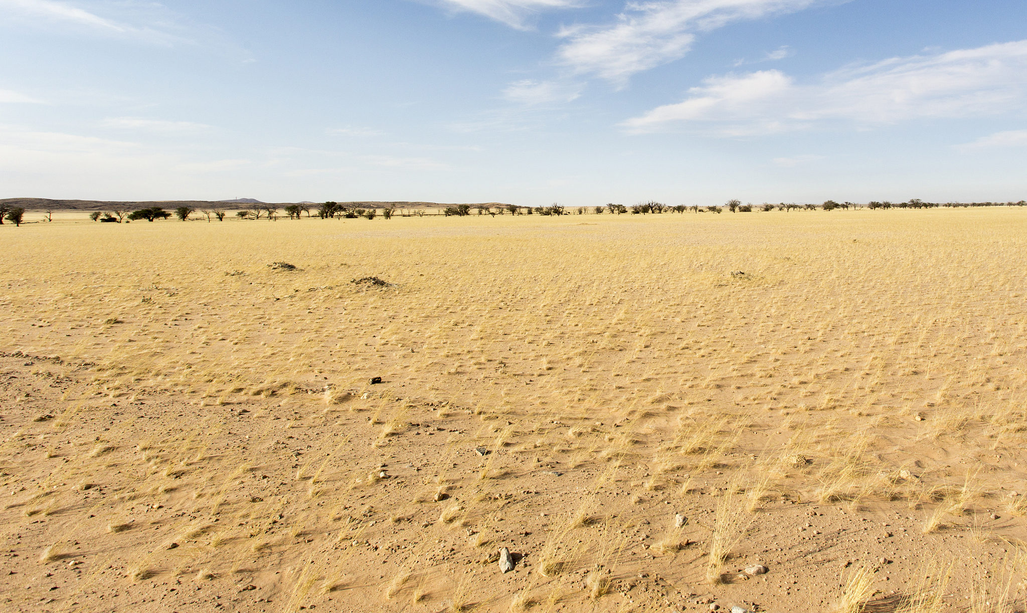 a beautiful desert view in namibia