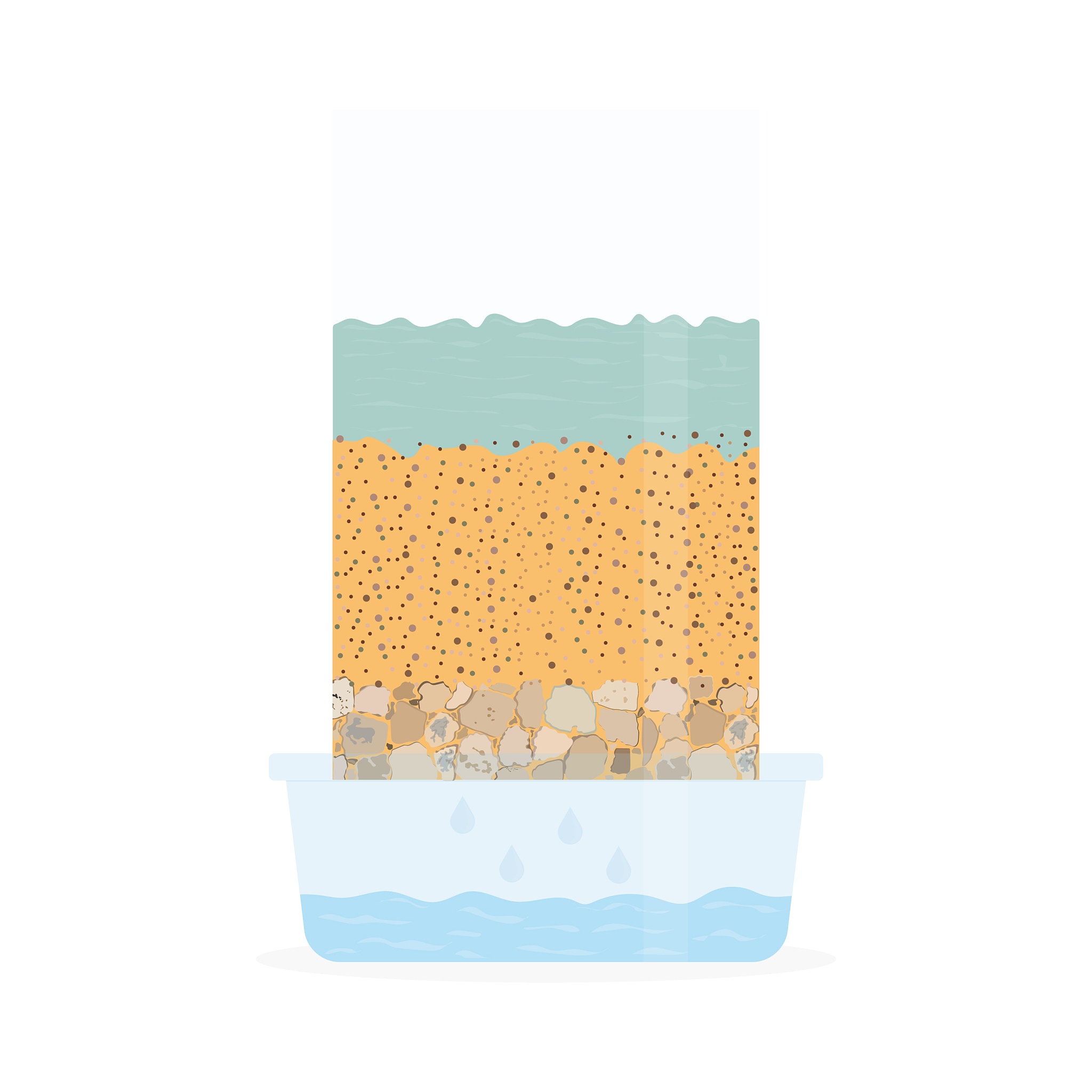 11号膜和12号膜尺寸对比：哪个更大？