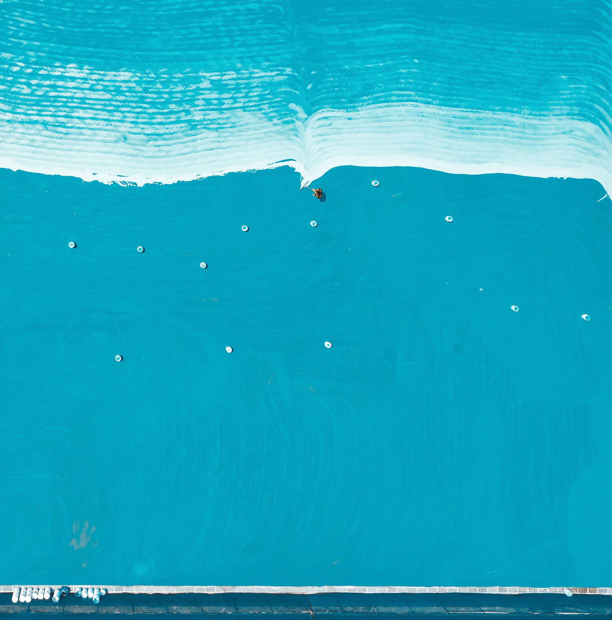 四川省水产学校2019-海洋生物管理招生