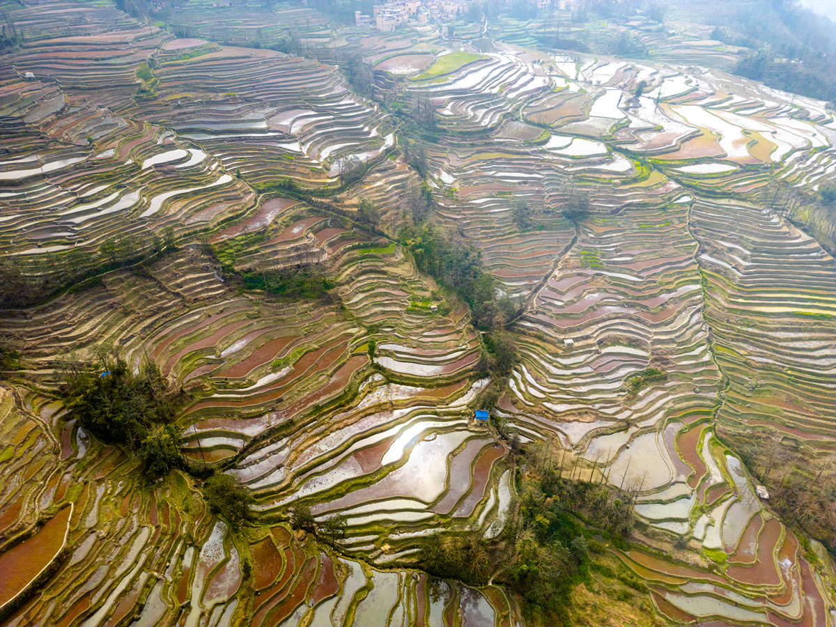 红河哈尼梯田文化传承学校 - 了解哈尼族梯田文化传承的最佳选择