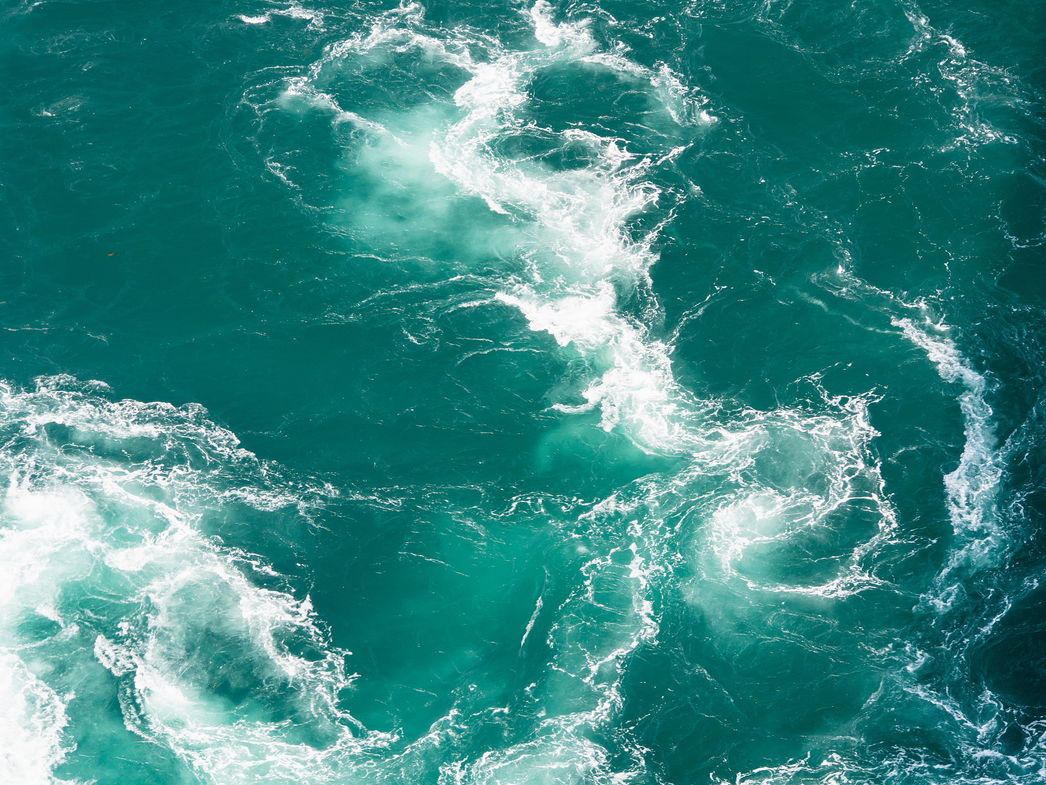 火影忍者ol网页游戏忍者的属性统计