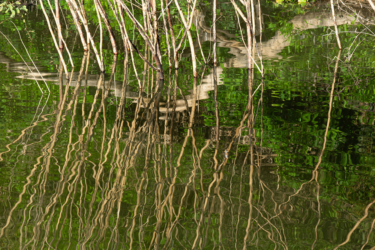 我是幼师写一份幼儿园大班个人观察记录包括以下：观察实录、行为分析解读支持策略反思