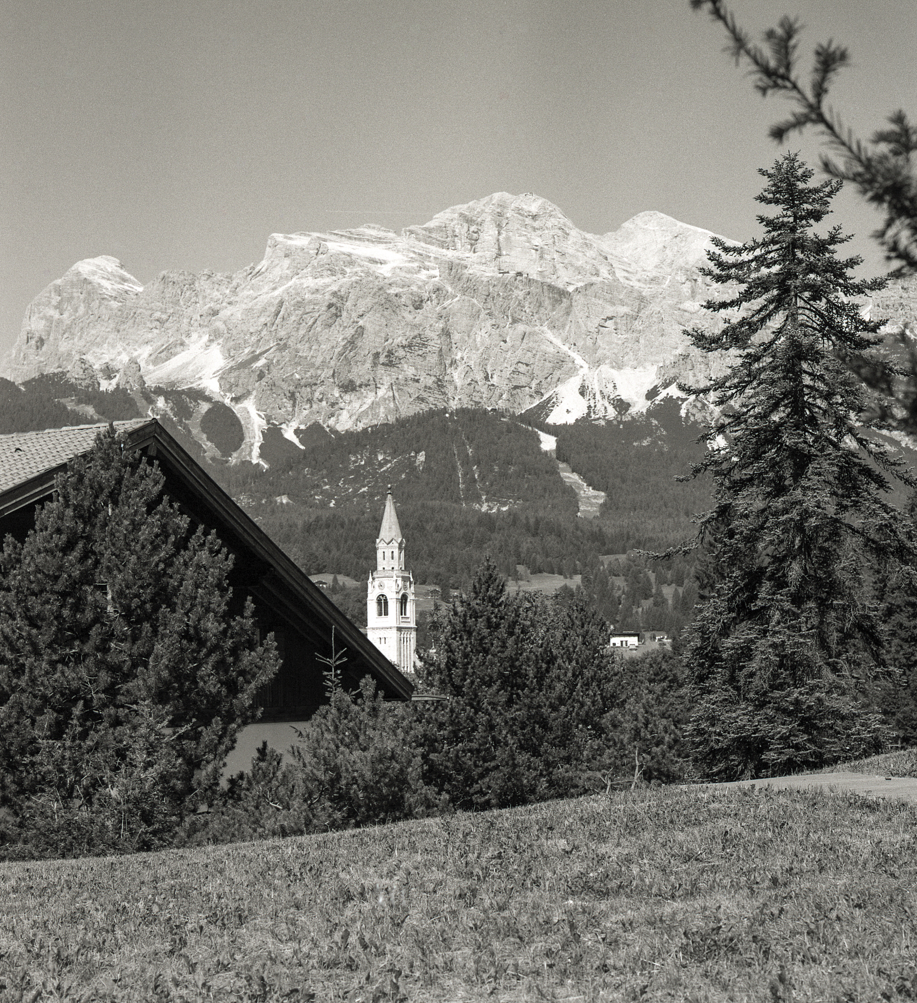 SY 开头单词大全：10 个常见单词及解释