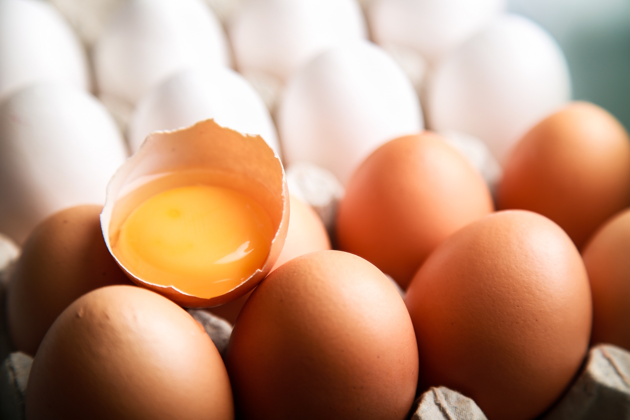 eggs.