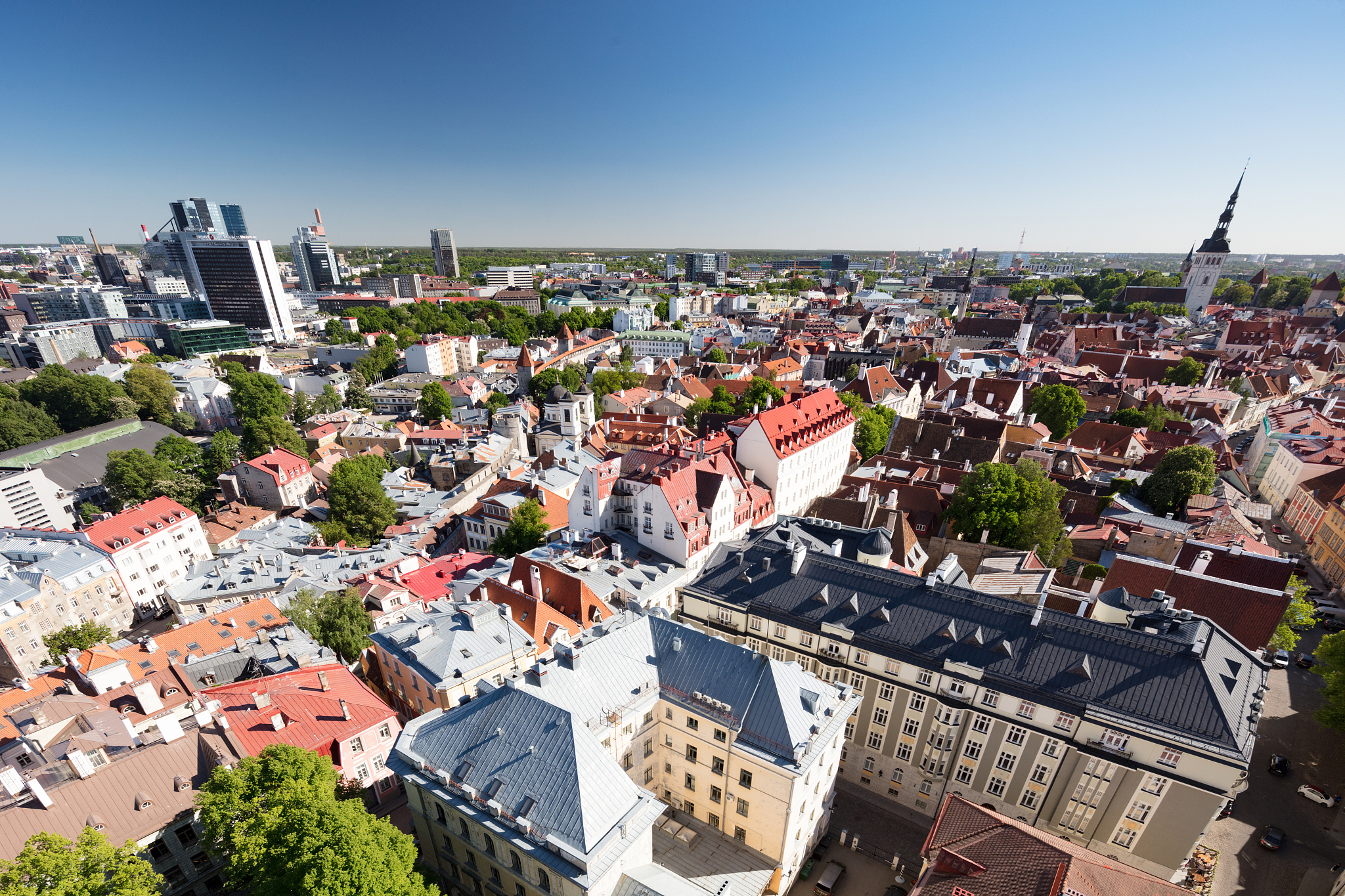 tallinn's old town seen from st olaf' church, estonia