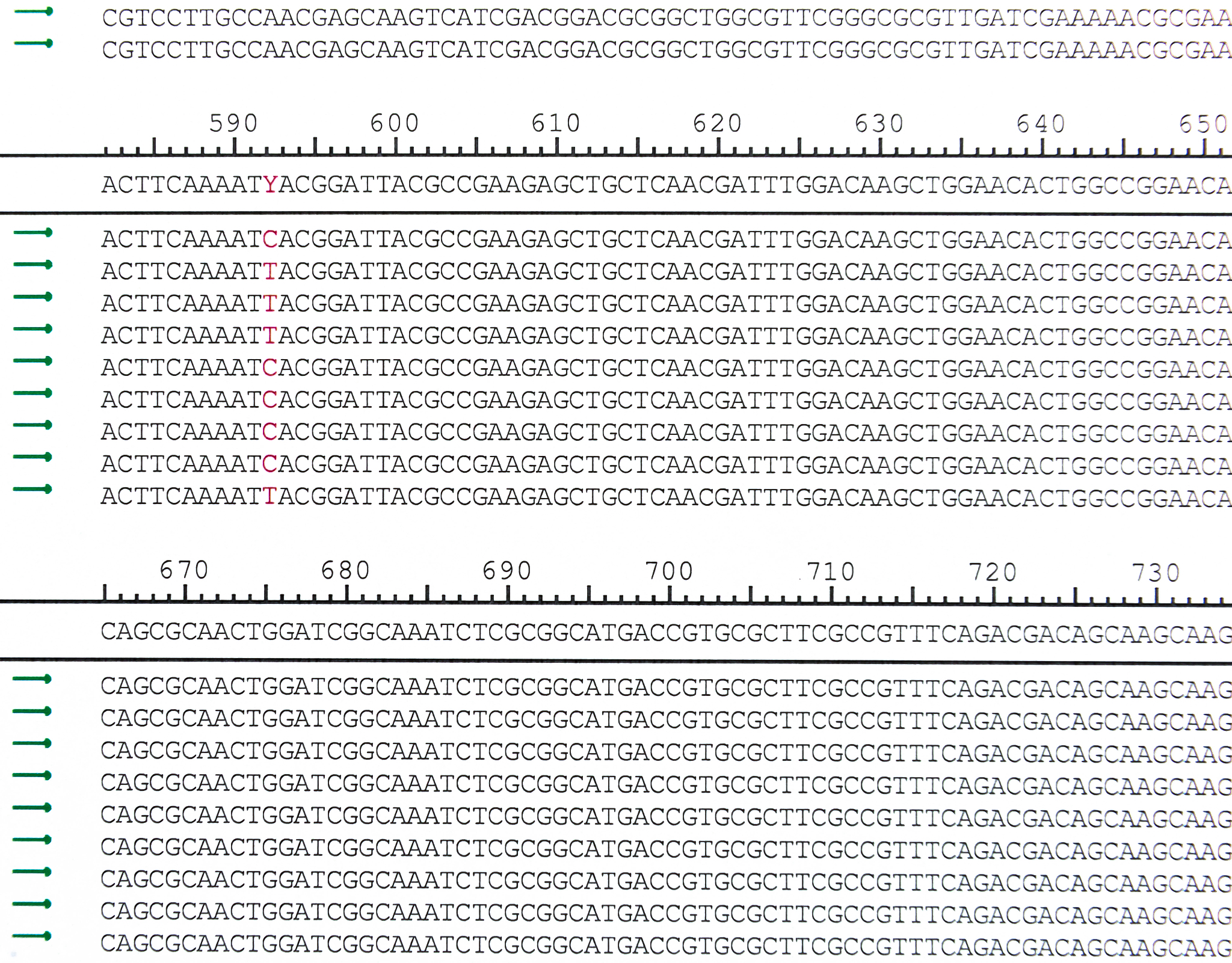 独立样本T检验：比较两组数据差异的利器