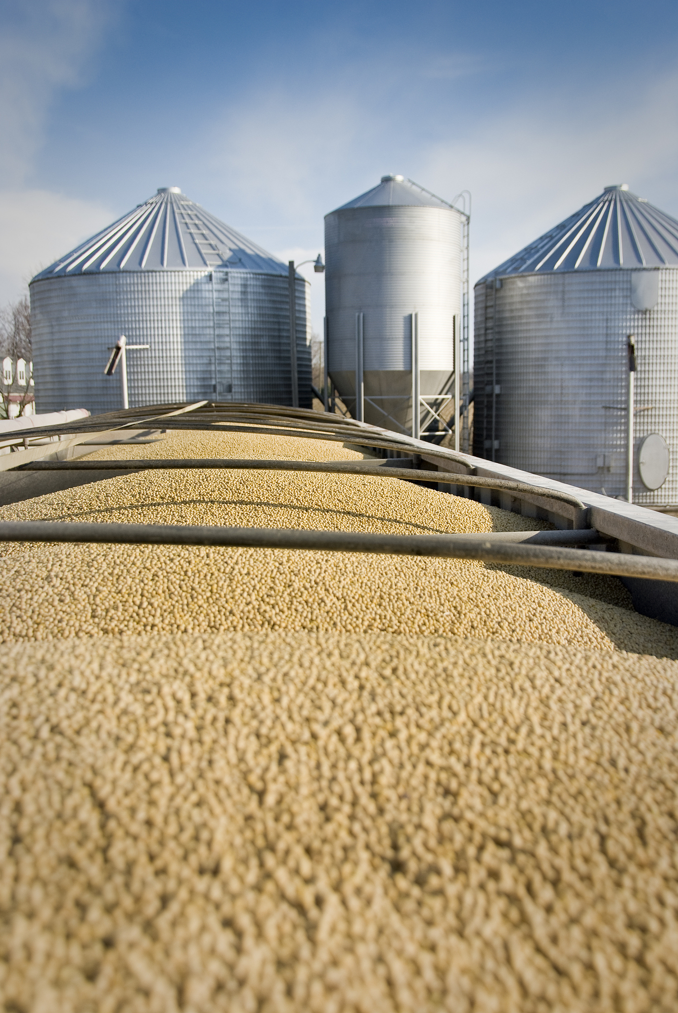 请翻译我们将进一步收集原料豆的运输存储记录以核实以上情况。