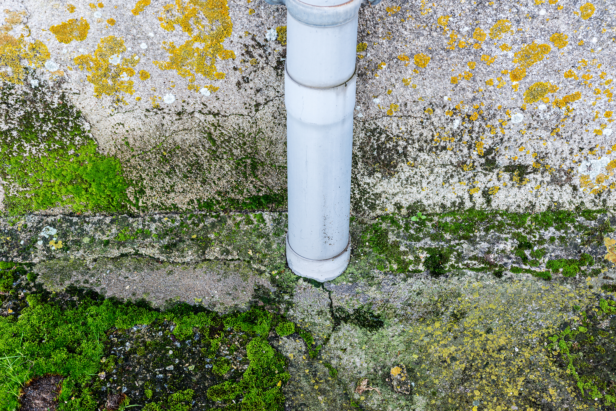 霉菌和菌群失衡的原因：湿度、通风、环境卫生等