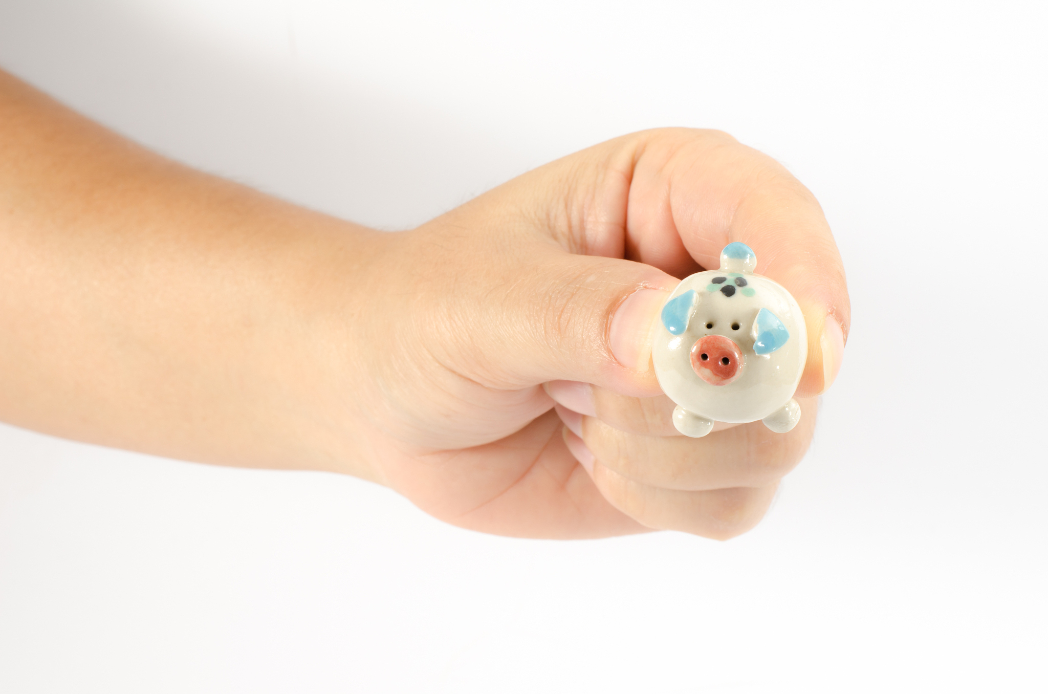 ceramic pig