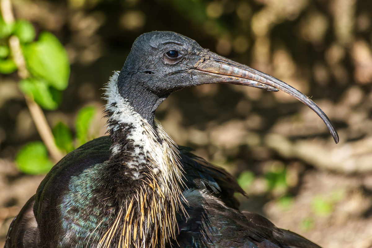 SPI通讯协议详解：原理、优势及劣势