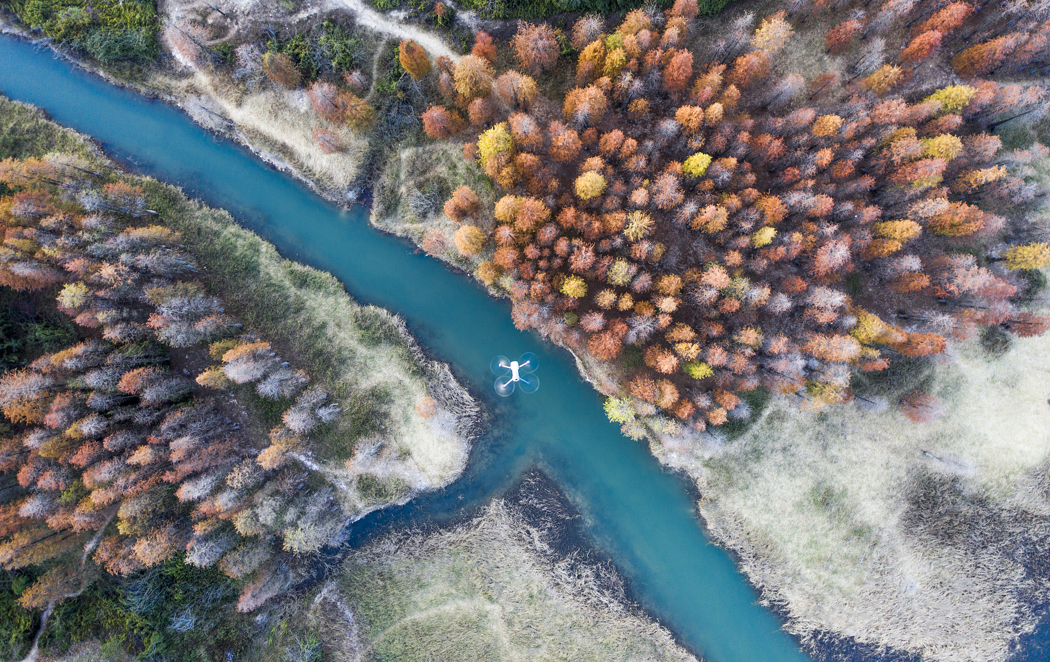 秘境森林冒险队手游更新：全新副本、角色、装备及活动！