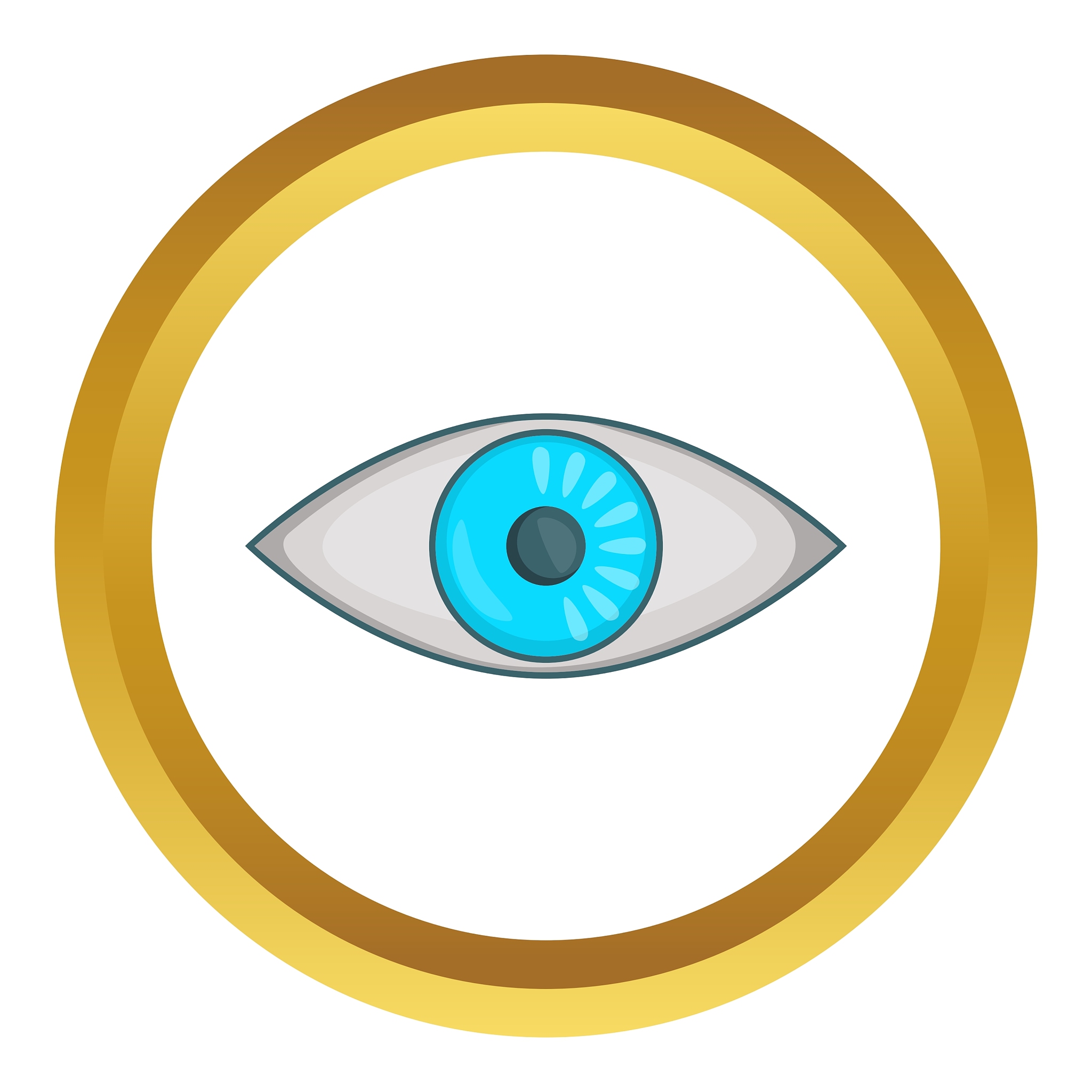 eye icon