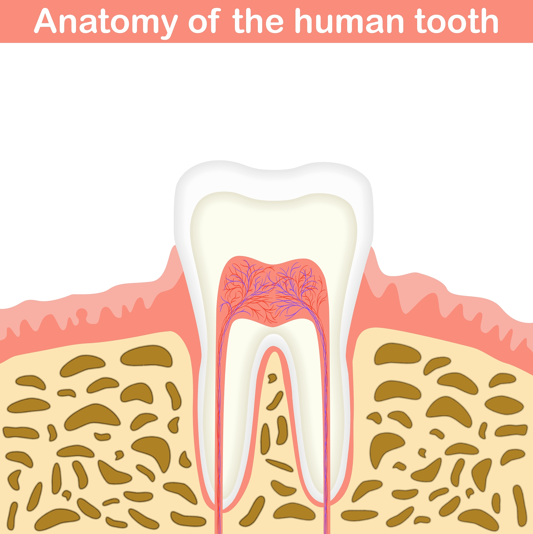 三峡联合职业大学口腔医学专业怎么样
