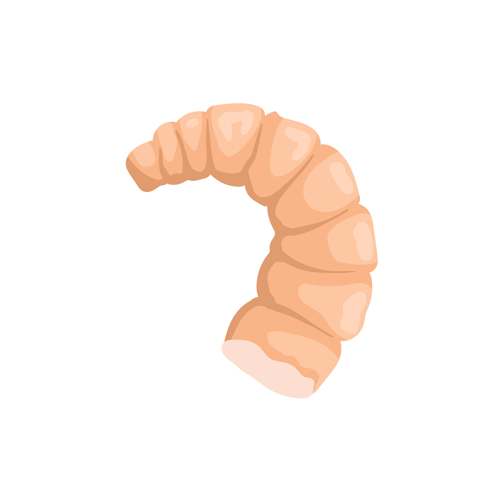 Frozen Head-on Vannamei Shrimp in Carton Packaging