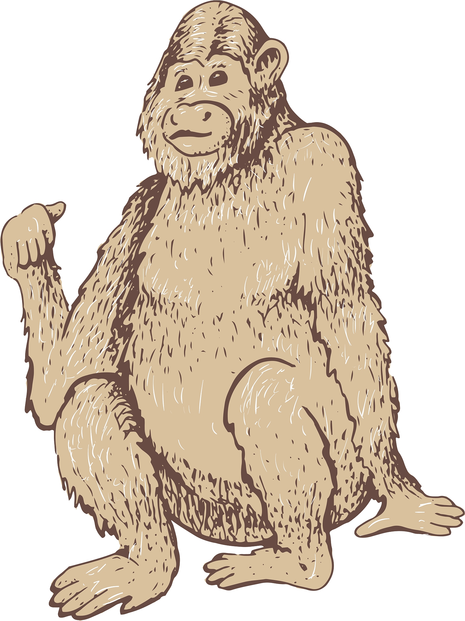 monkey sketch engraving