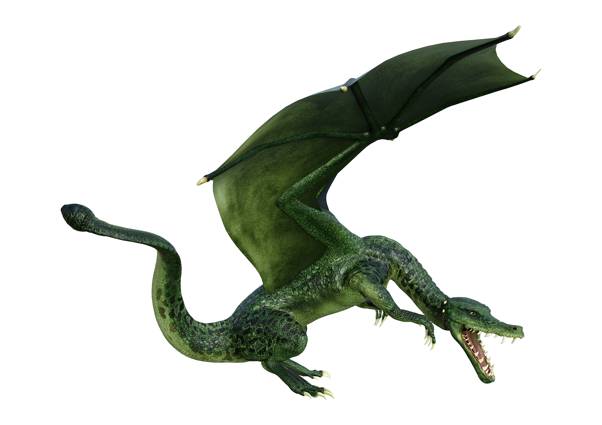 3d illustration fantasy dragon on white