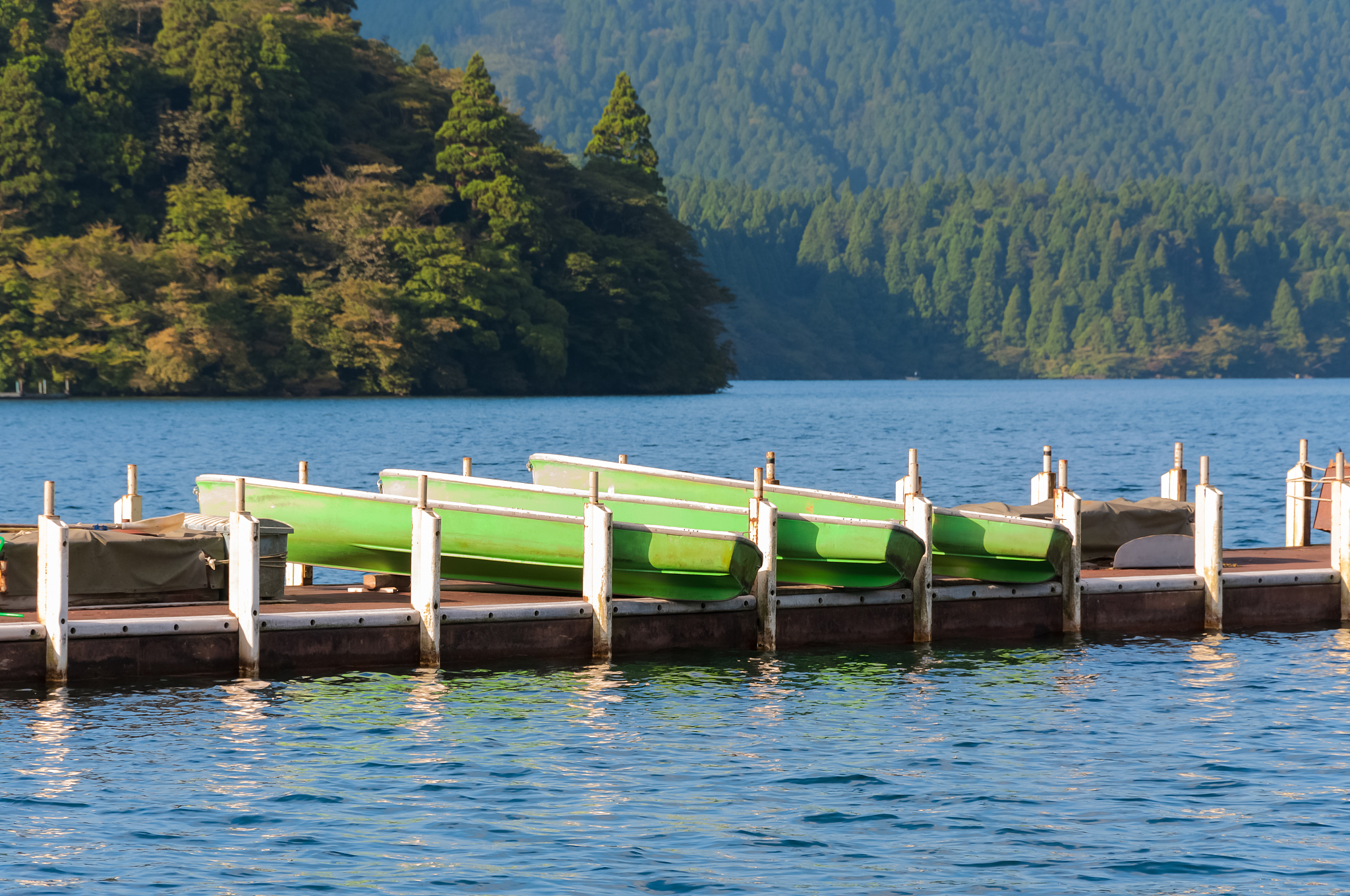 目前和我的爸爸、小狗和朋友在门多西诺湖外出