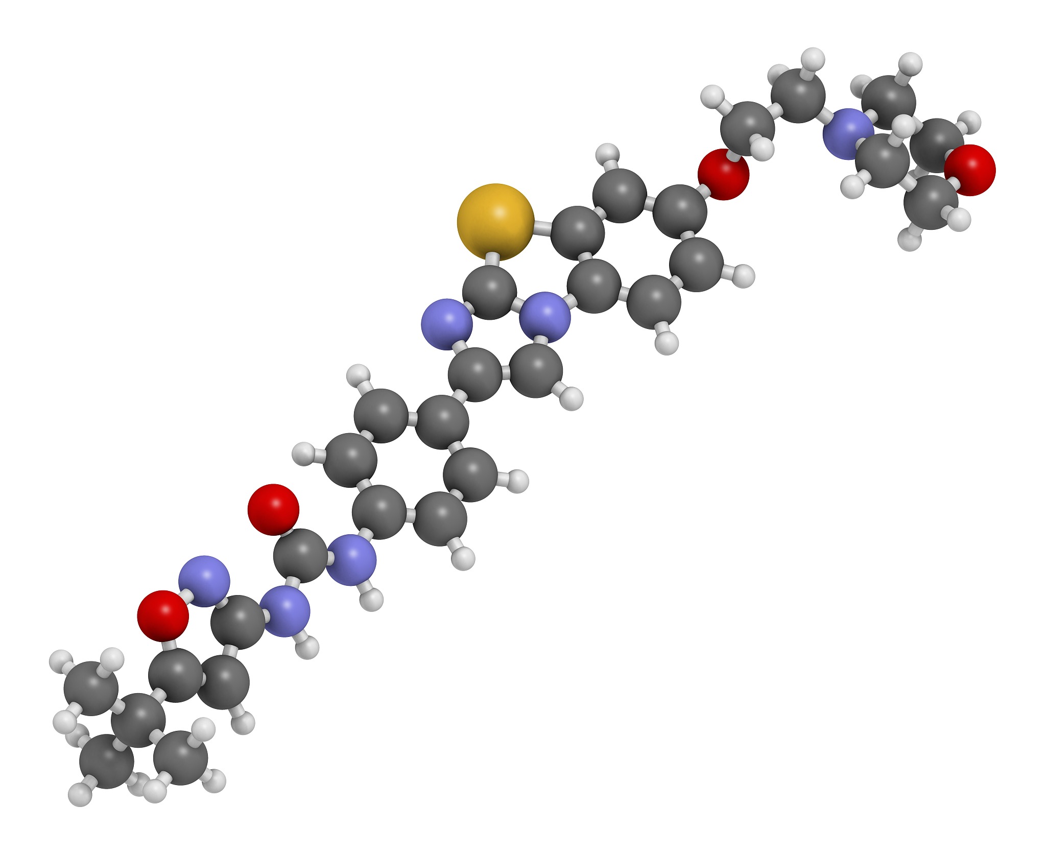 酪氨酸激酶与酪氨酸: 细胞信号传导的关键