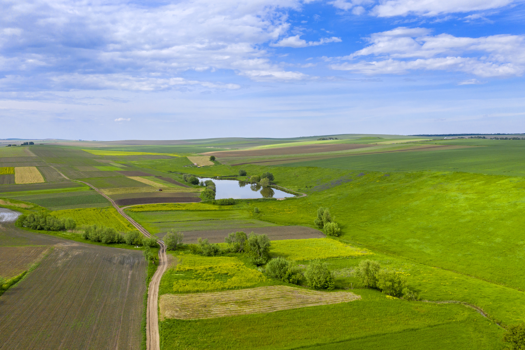 aerial rural landscape in summer